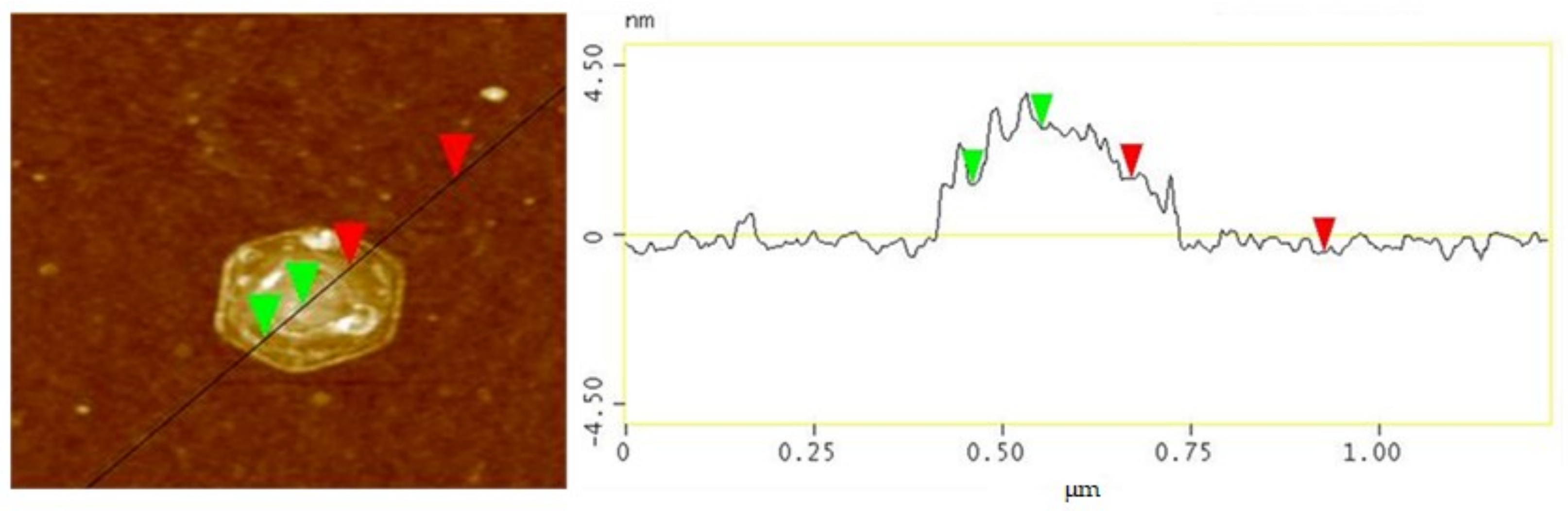 Nanomaterials 12 00685 g003