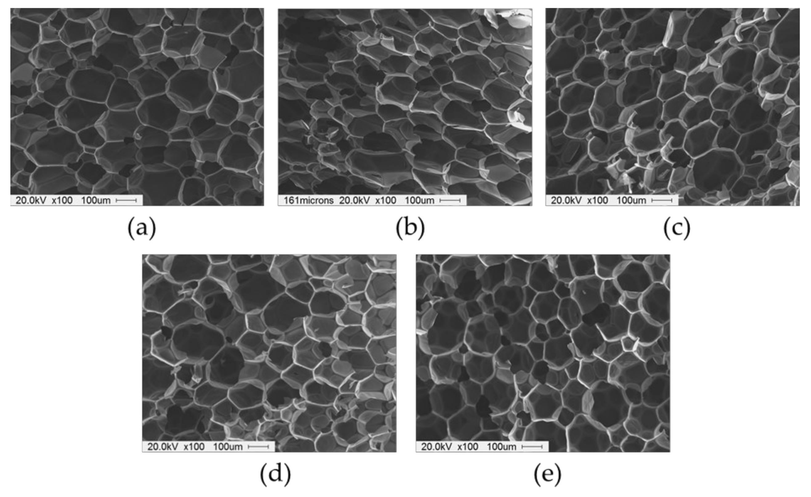 Nanomaterials 12 00685 g007