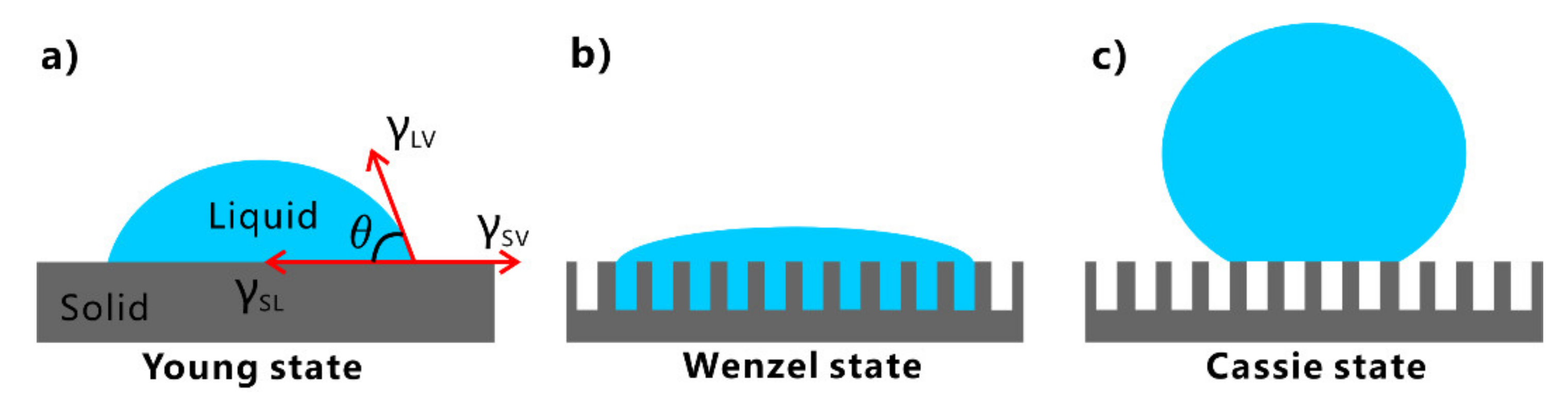 Nanomaterials 12 00688 g002 550