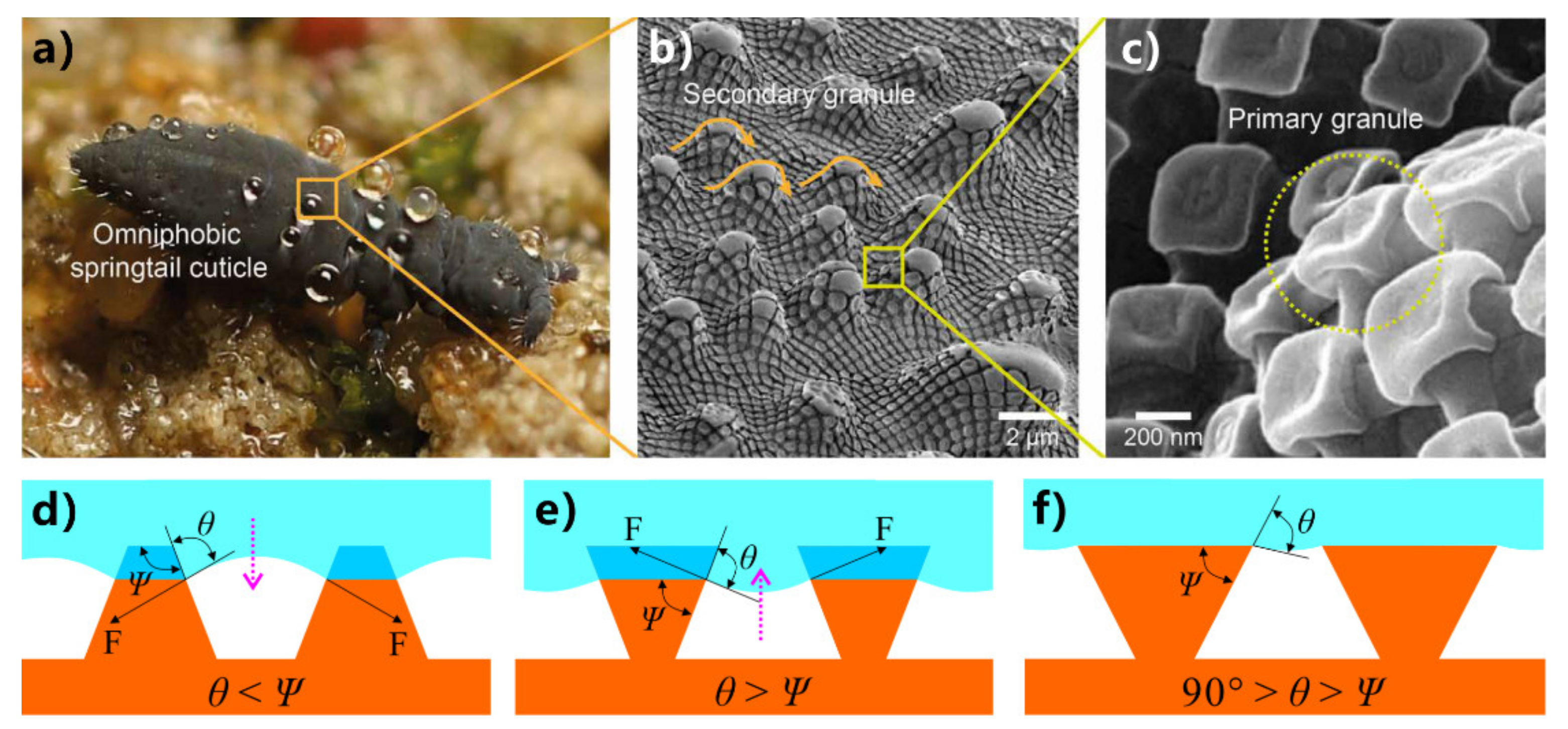 Nanomaterials 12 00688 g005 550