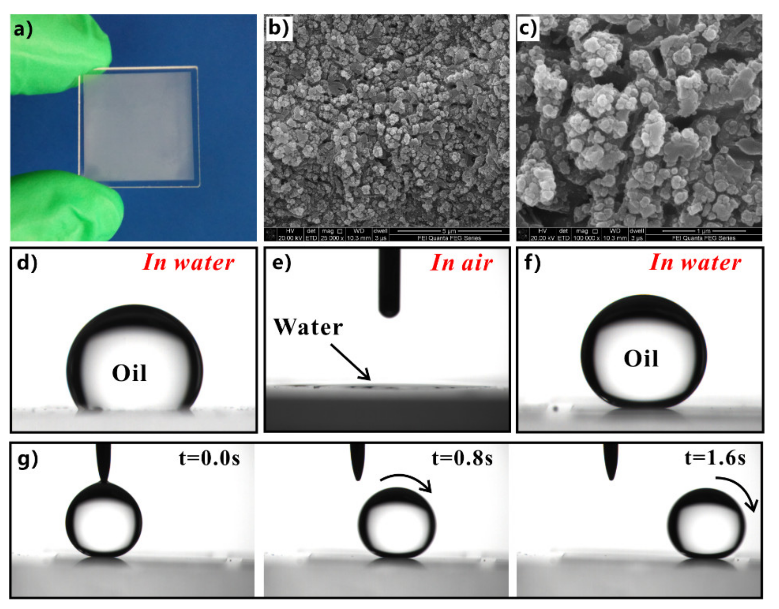 Nanomaterials 12 00688 g008 550