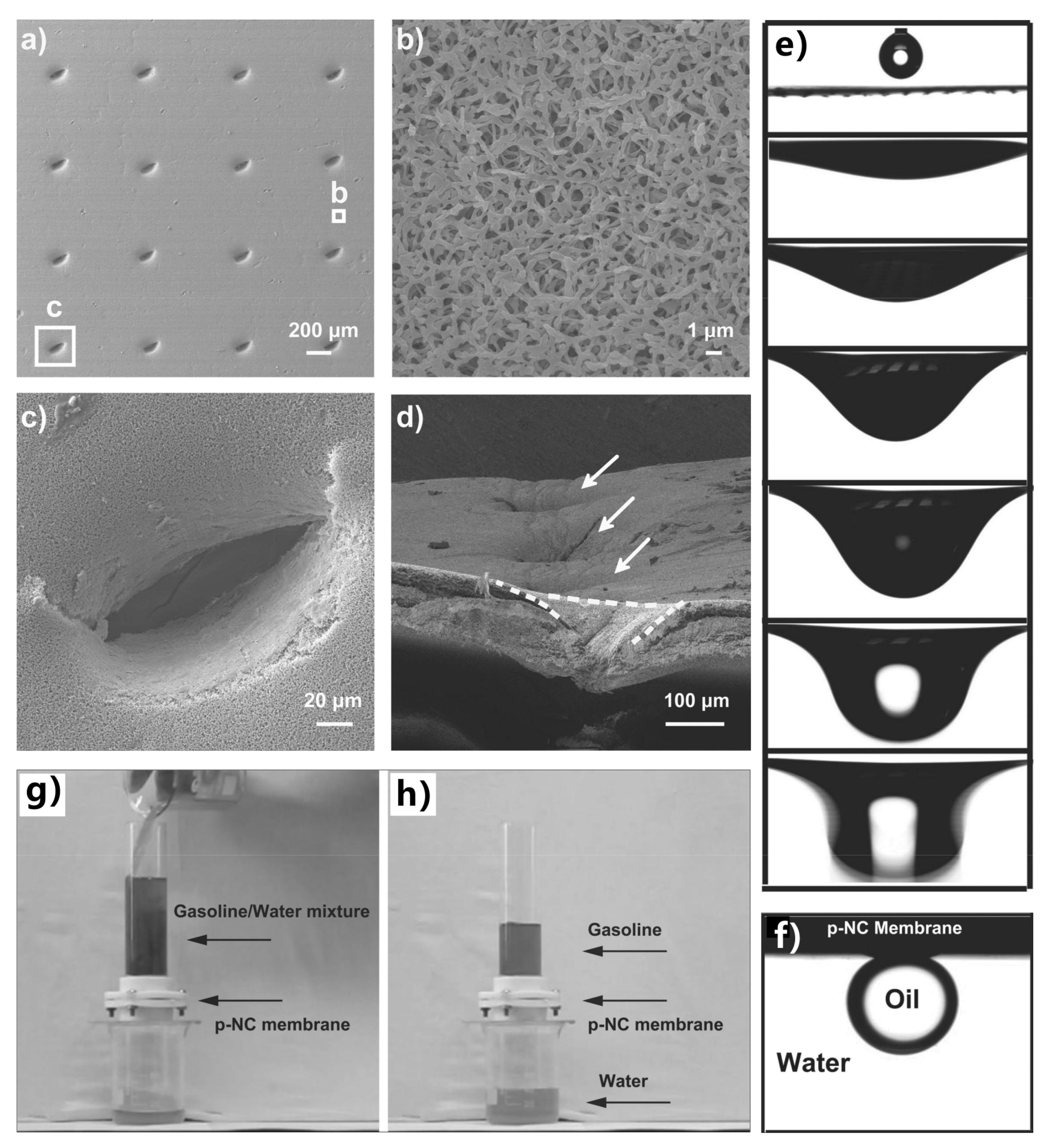 Nanomaterials 12 00688 g015 550