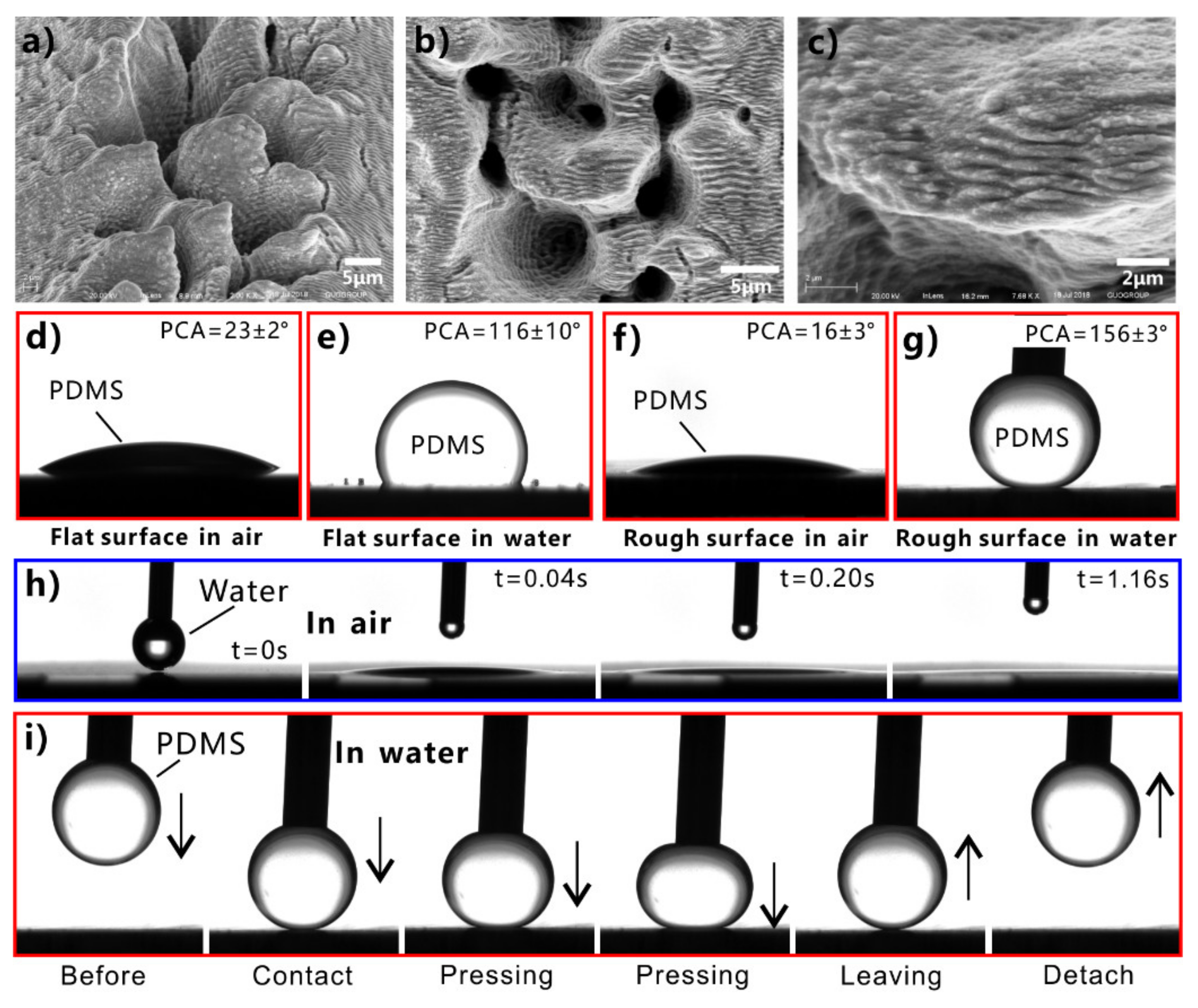 Nanomaterials 12 00688 g020 550