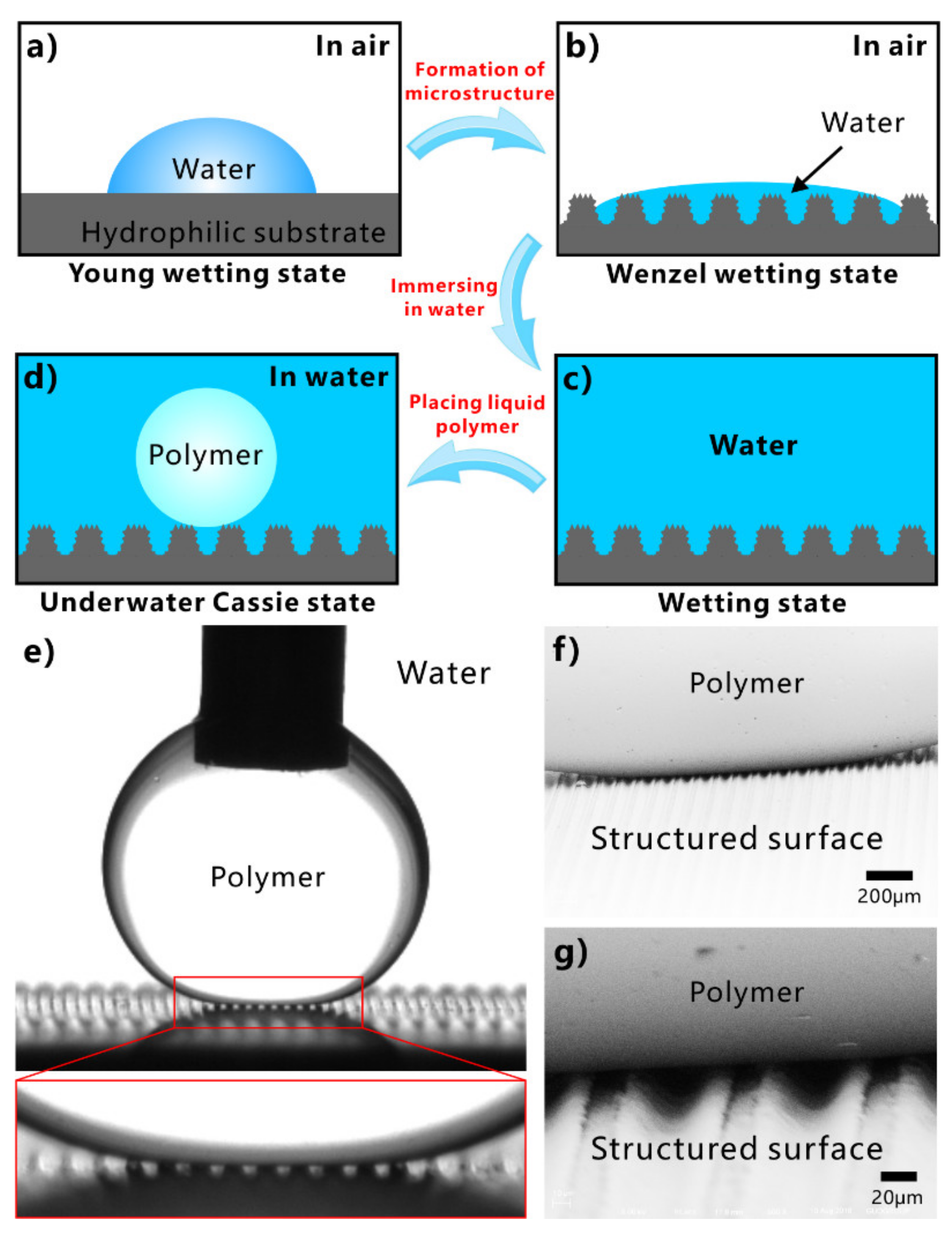 Nanomaterials 12 00688 g022 550