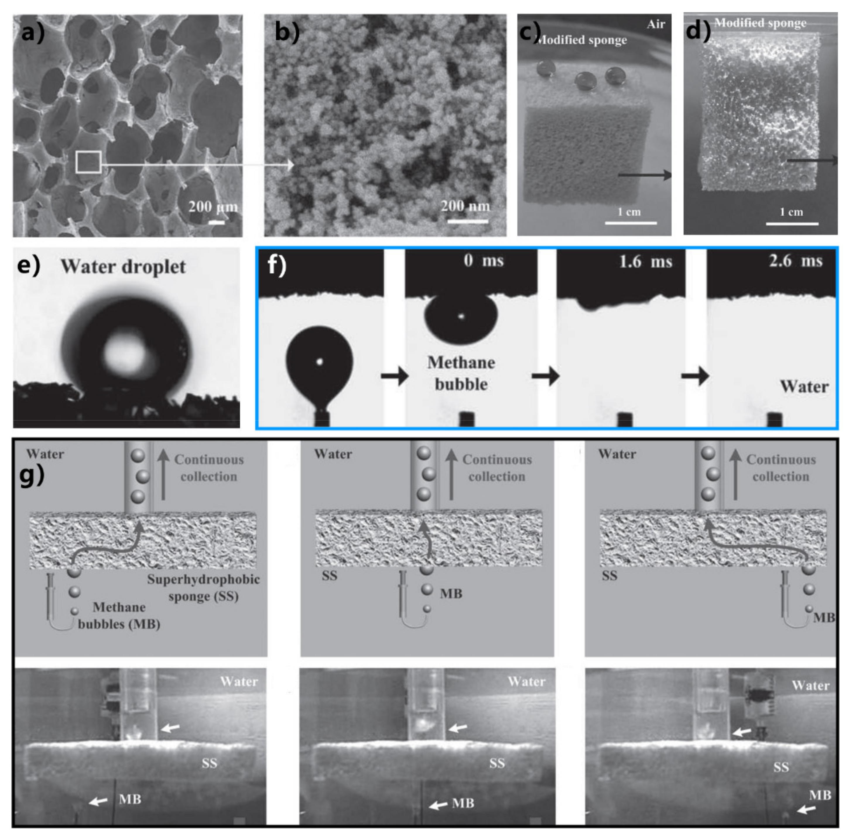 Nanomaterials 12 00688 g029 550