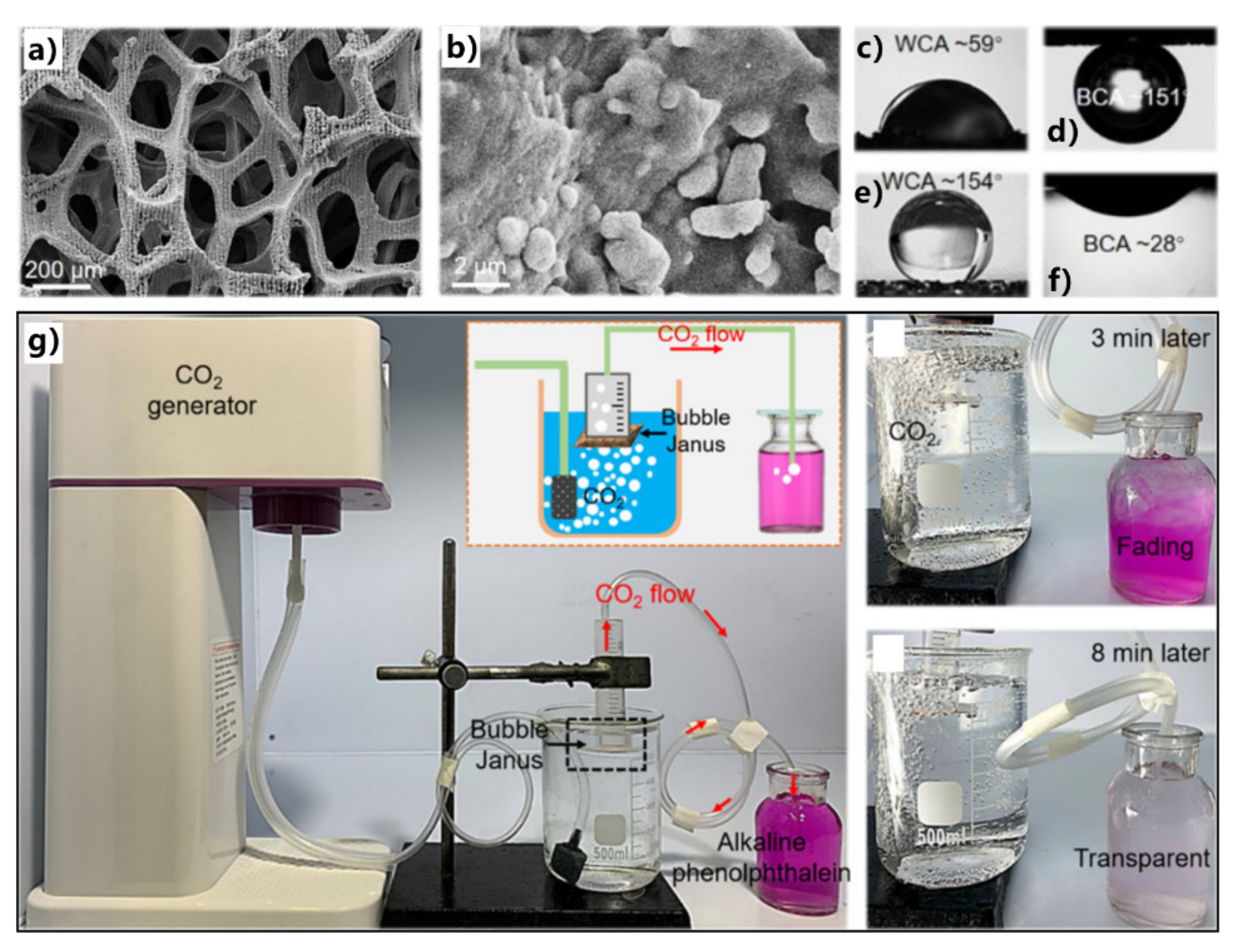 Nanomaterials 12 00688 g030 550