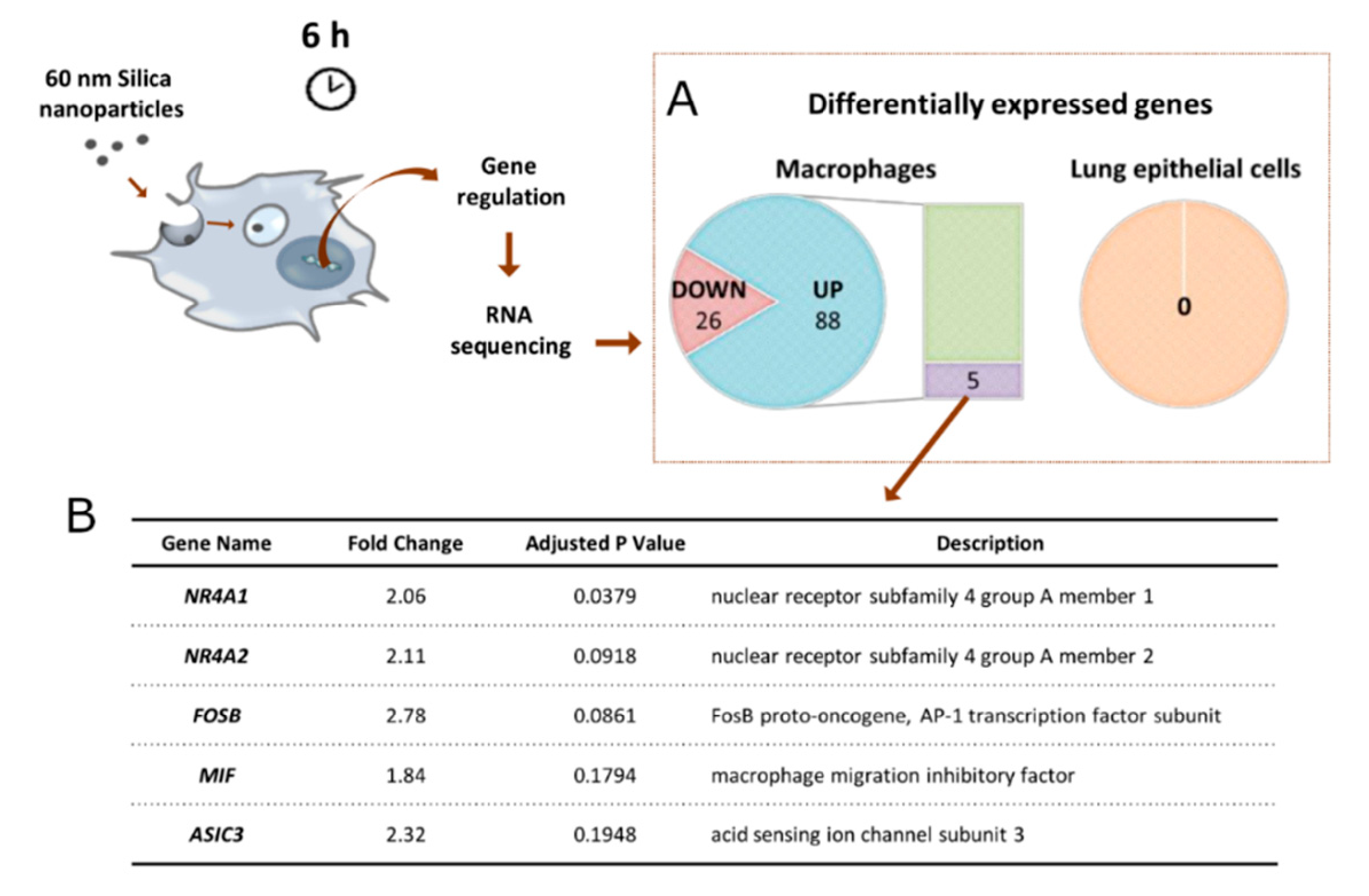Nanomaterials 12 00690 g003 550
