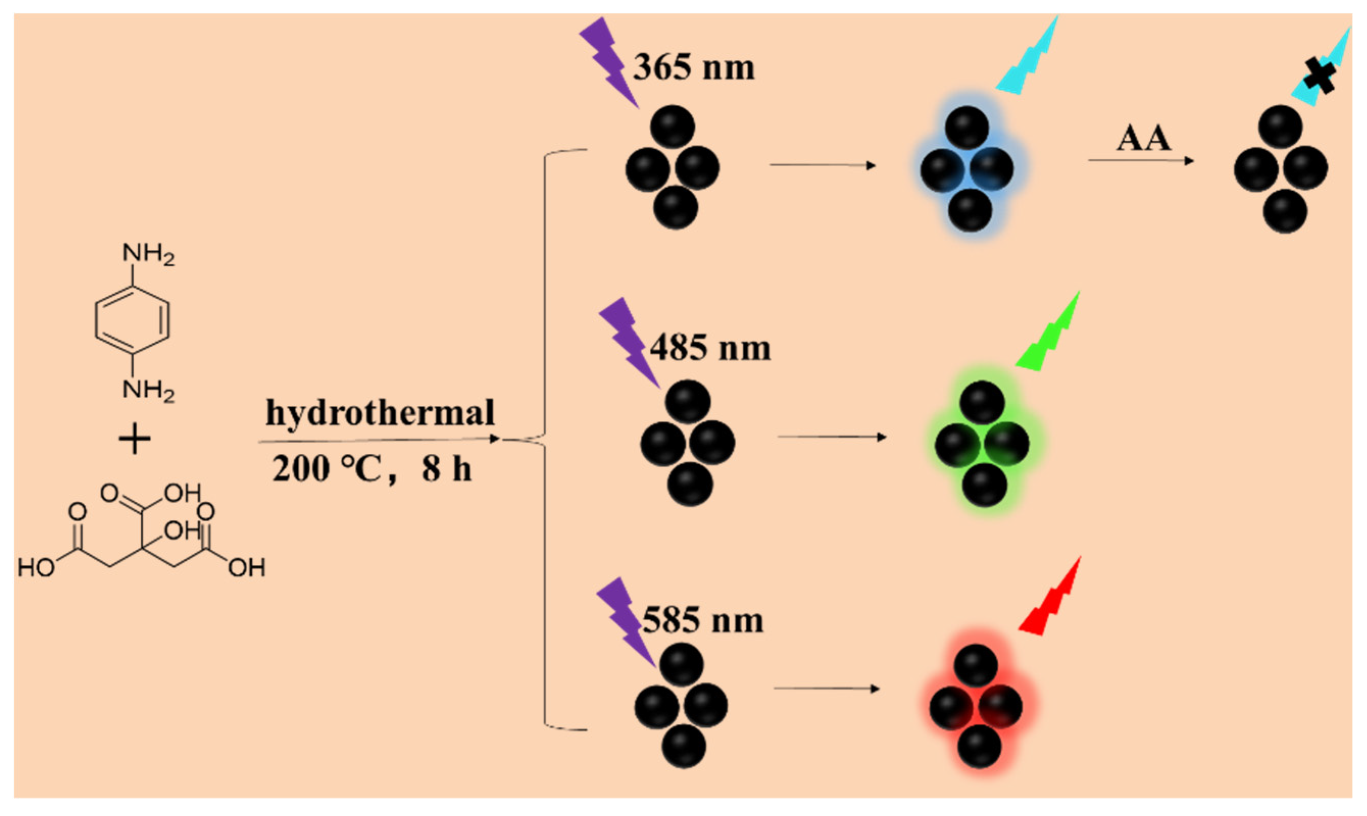 Nanomaterials 12 00693 g001 550