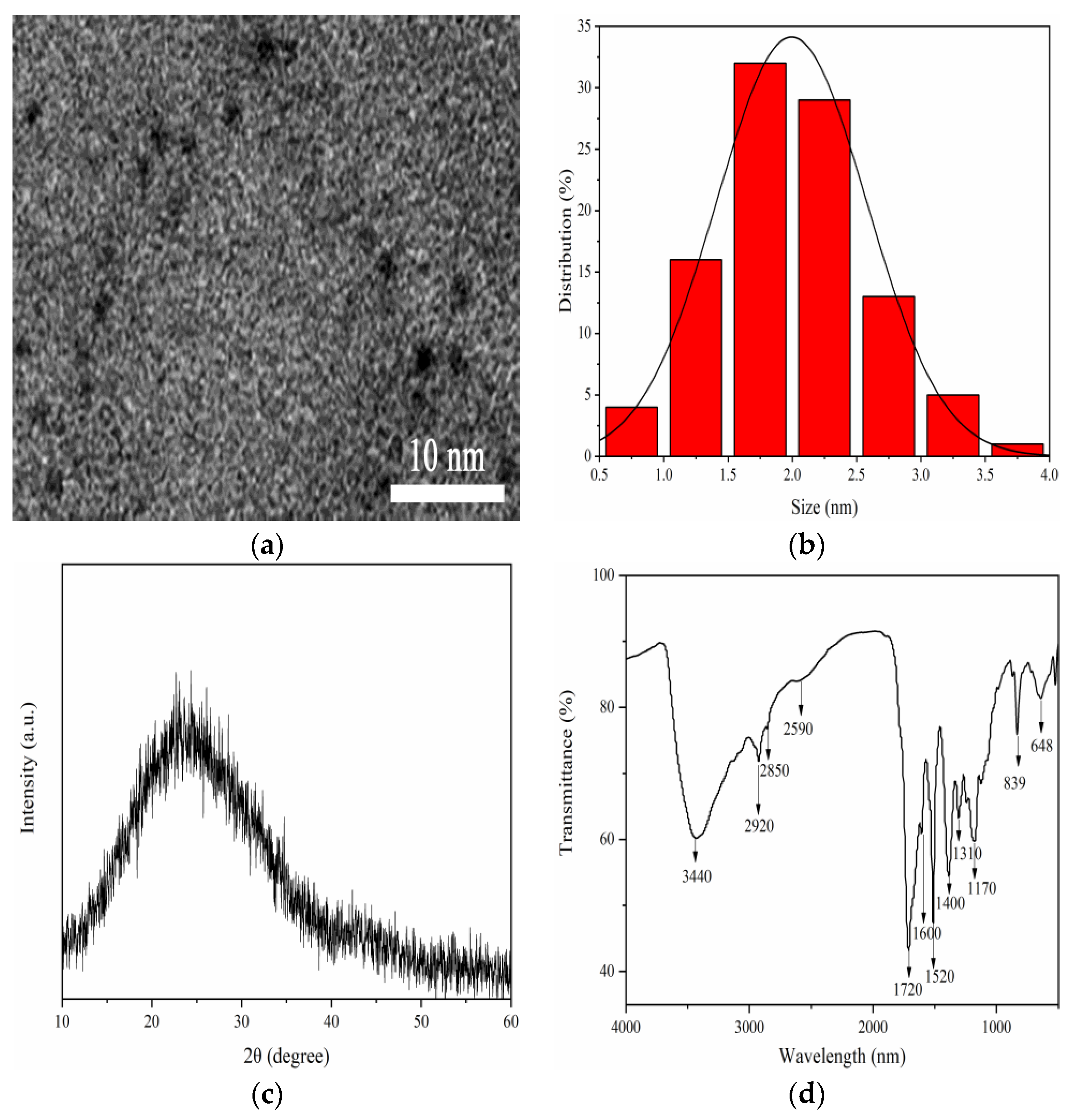 Nanomaterials 12 00693 g002 550