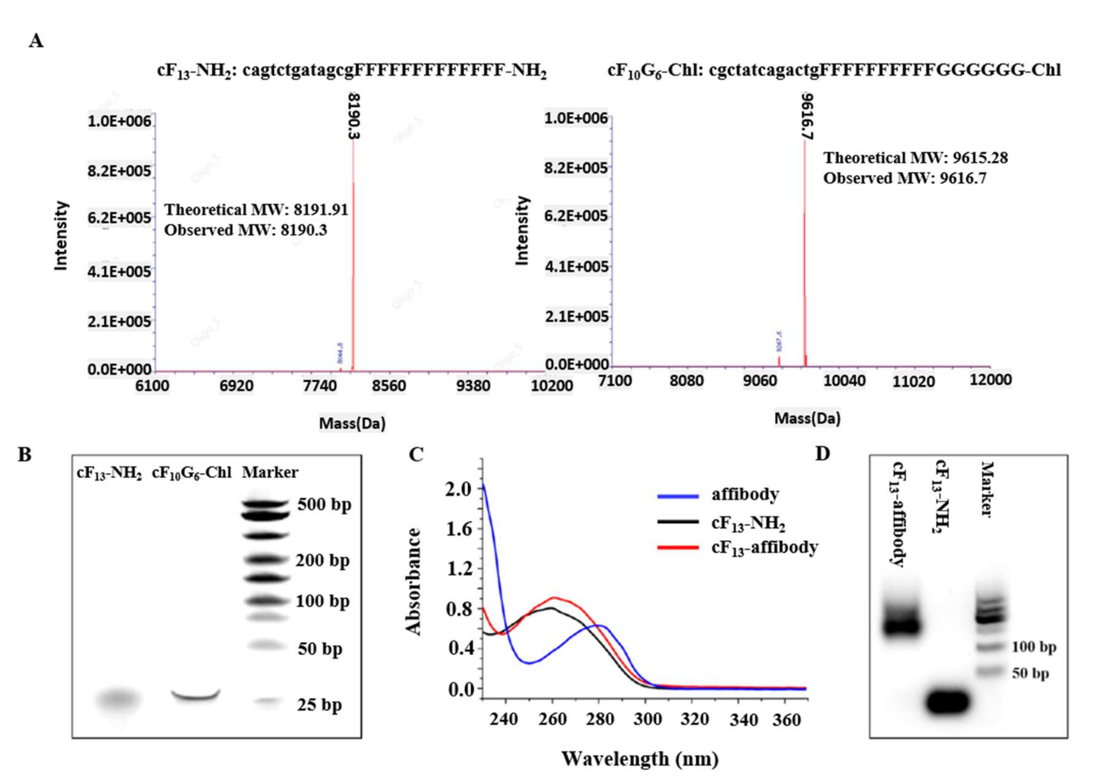 Nanomaterials 12 00696 g001 550
