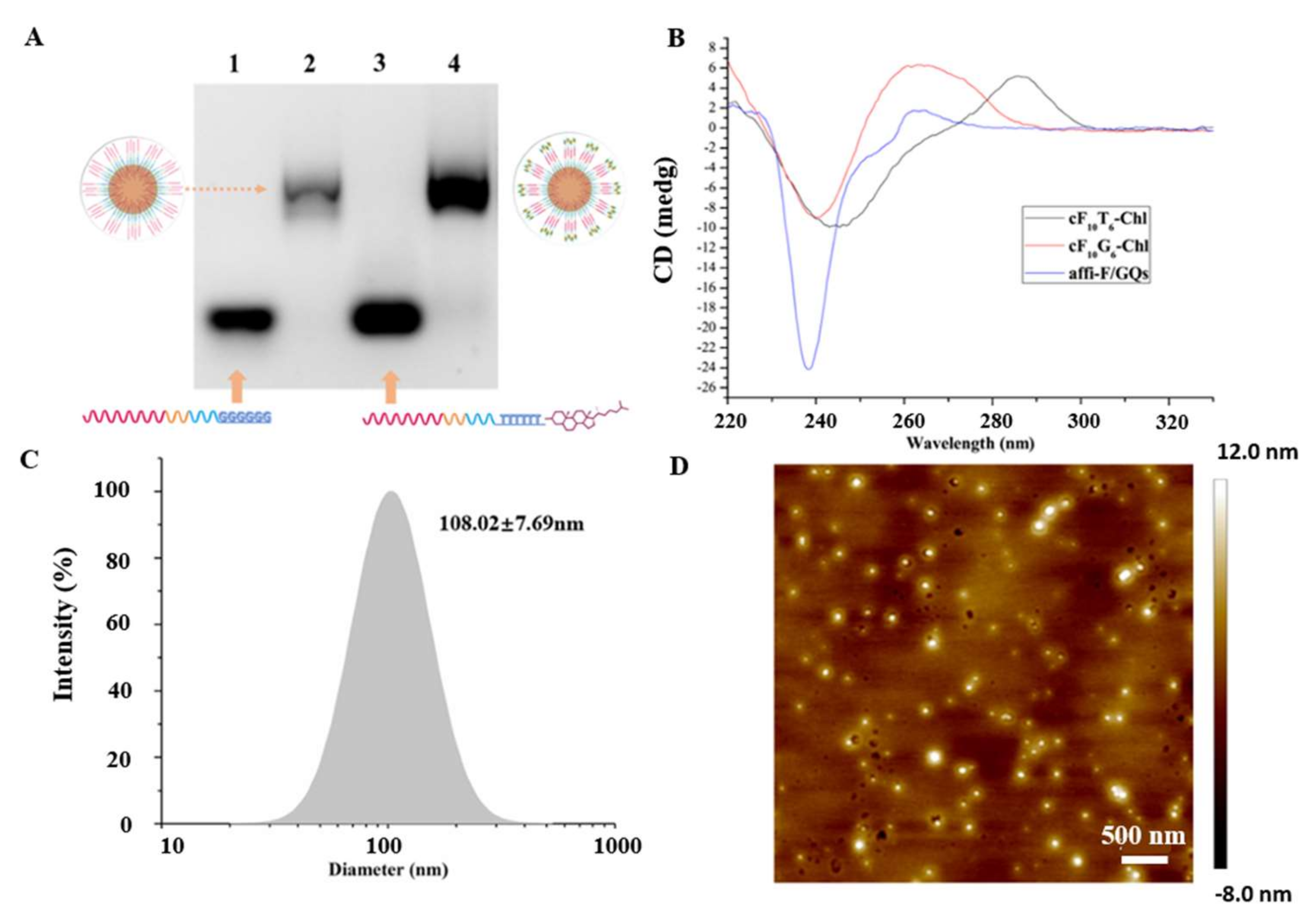 Nanomaterials 12 00696 g002 550