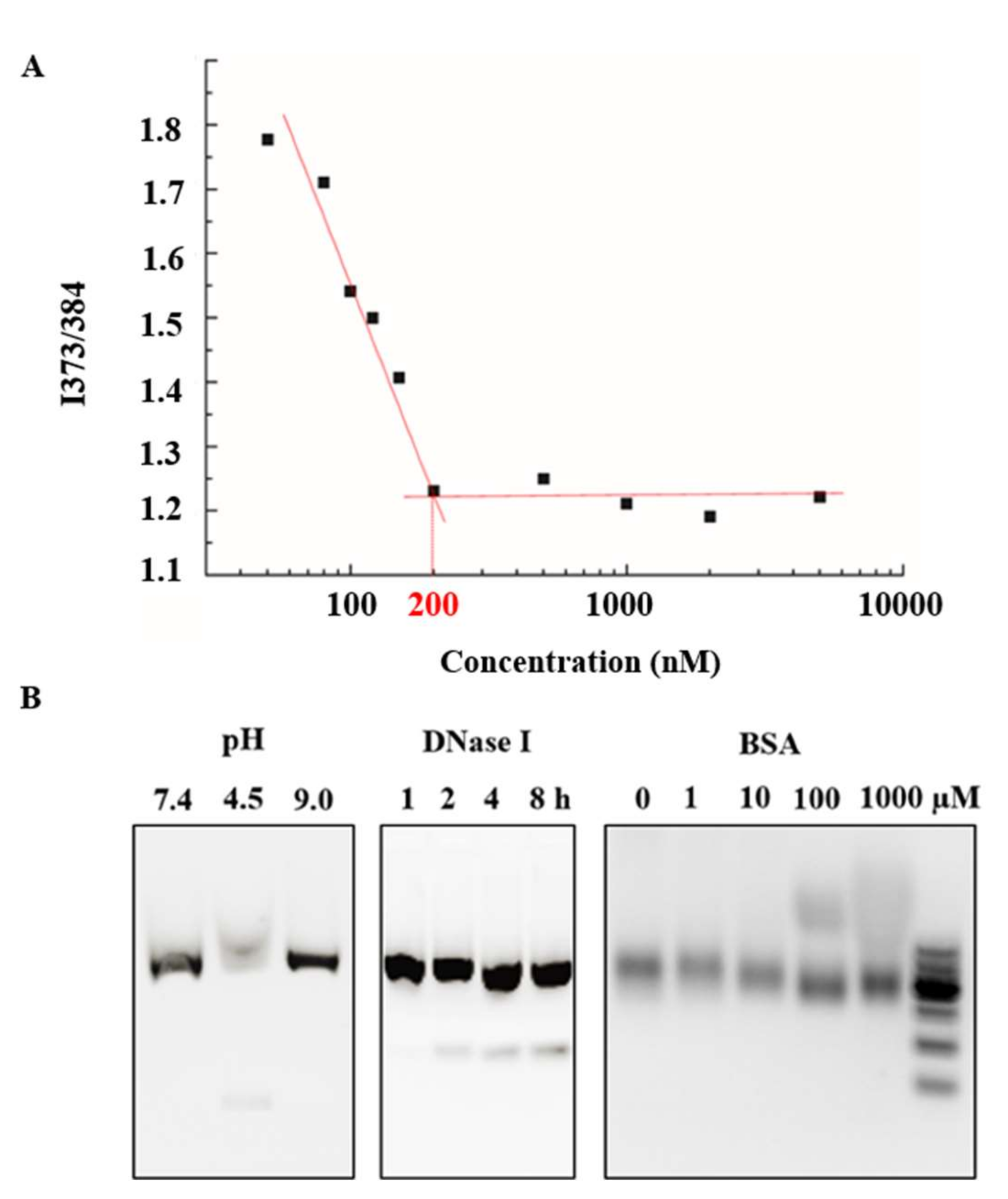 Nanomaterials 12 00696 g003 550