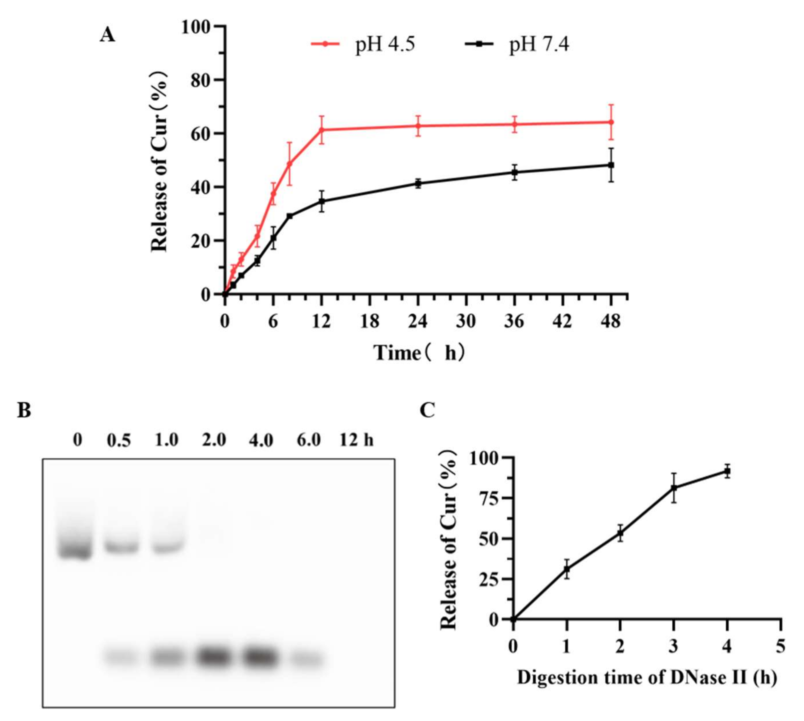 Nanomaterials 12 00696 g005 550
