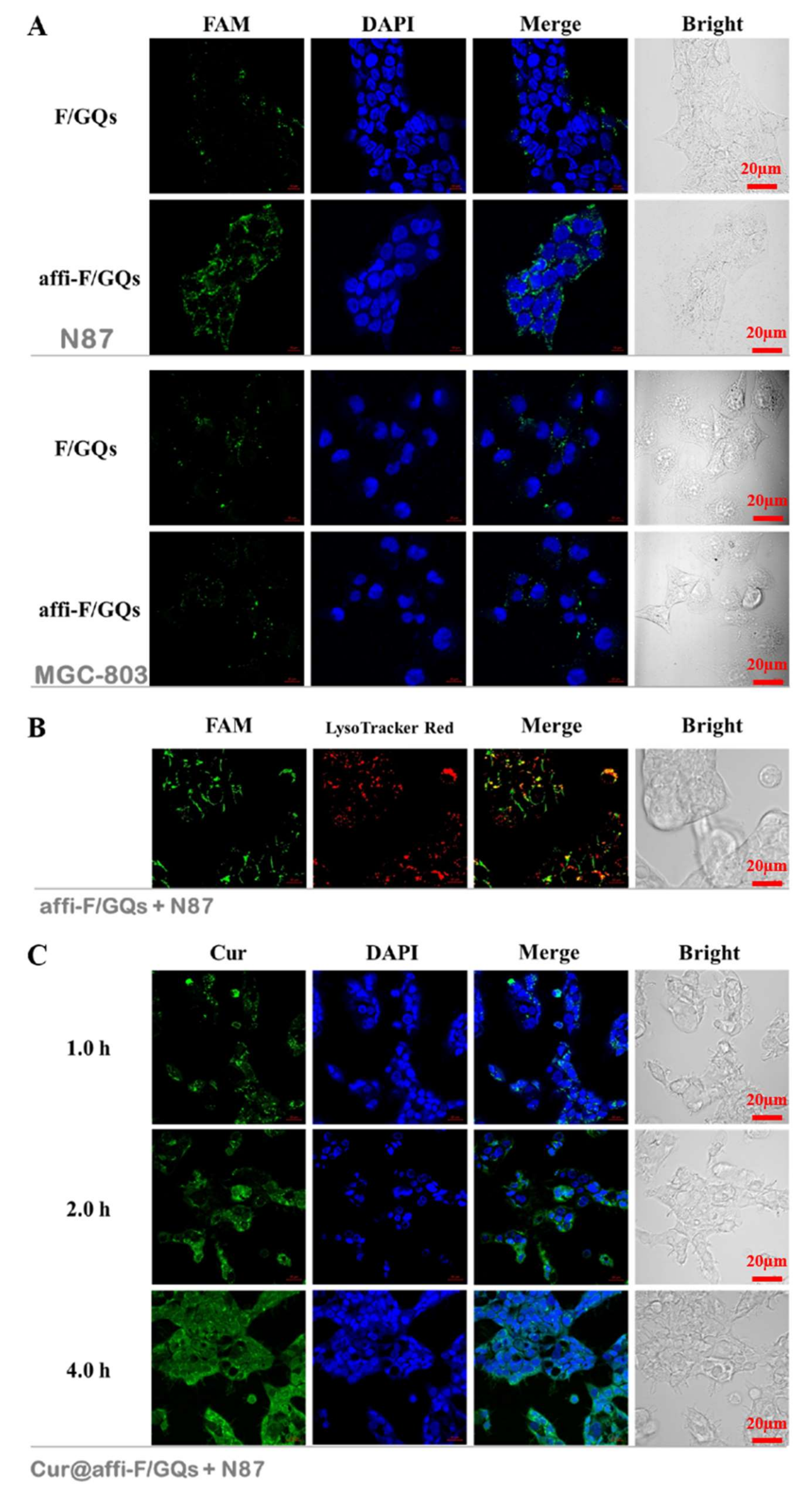 Nanomaterials 12 00696 g006 550