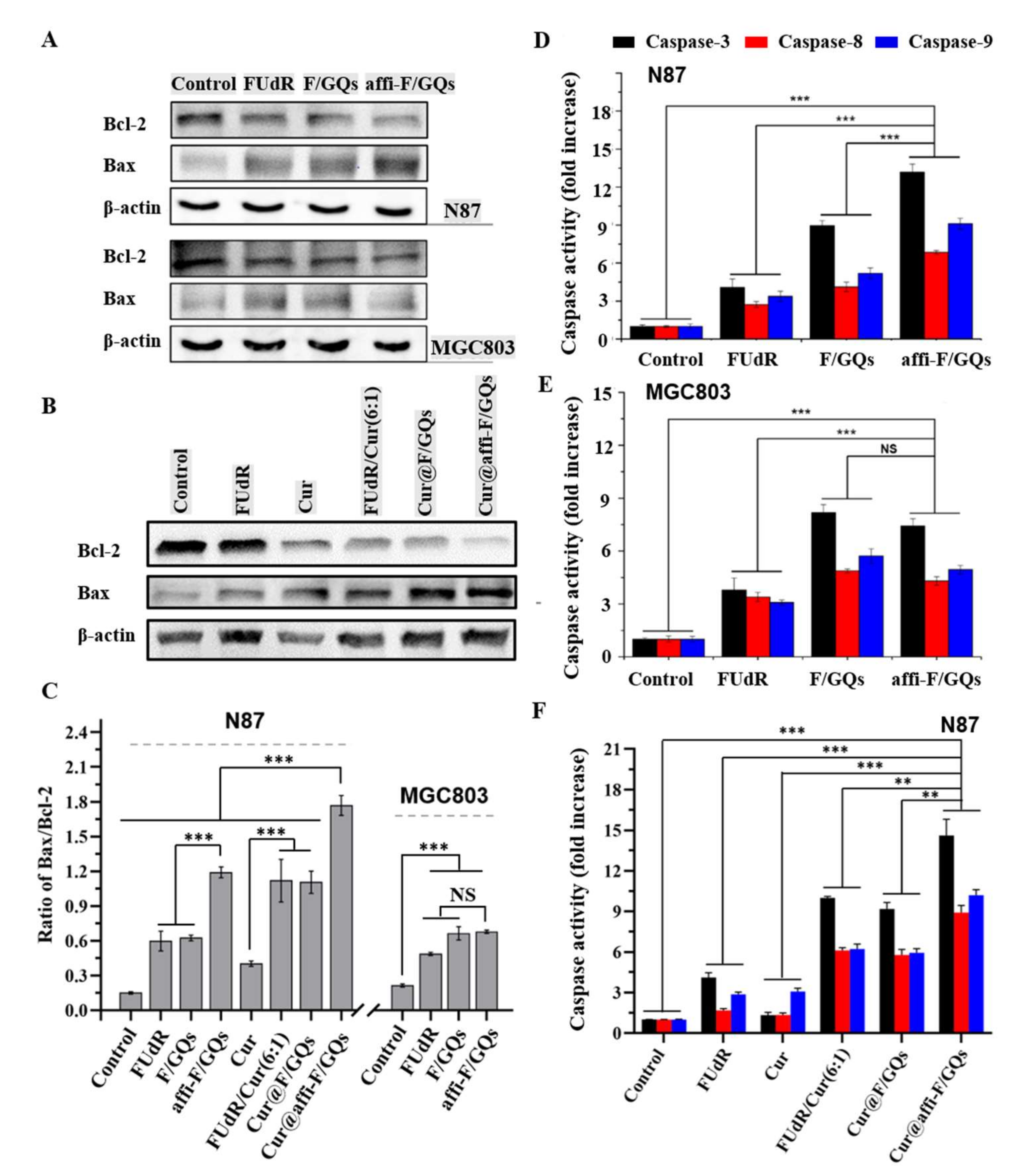Nanomaterials 12 00696 g008 550