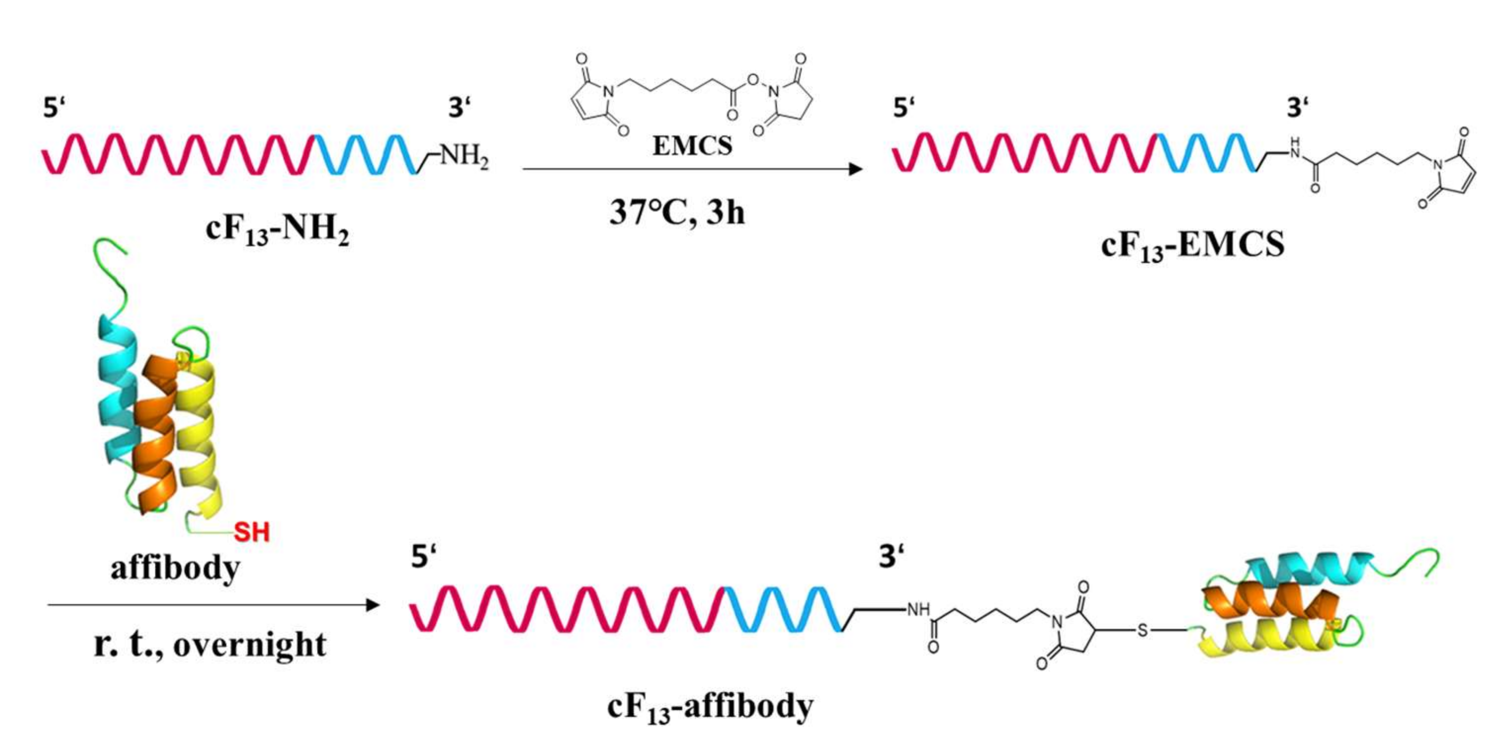 Nanomaterials 12 00696 sch0a2 550