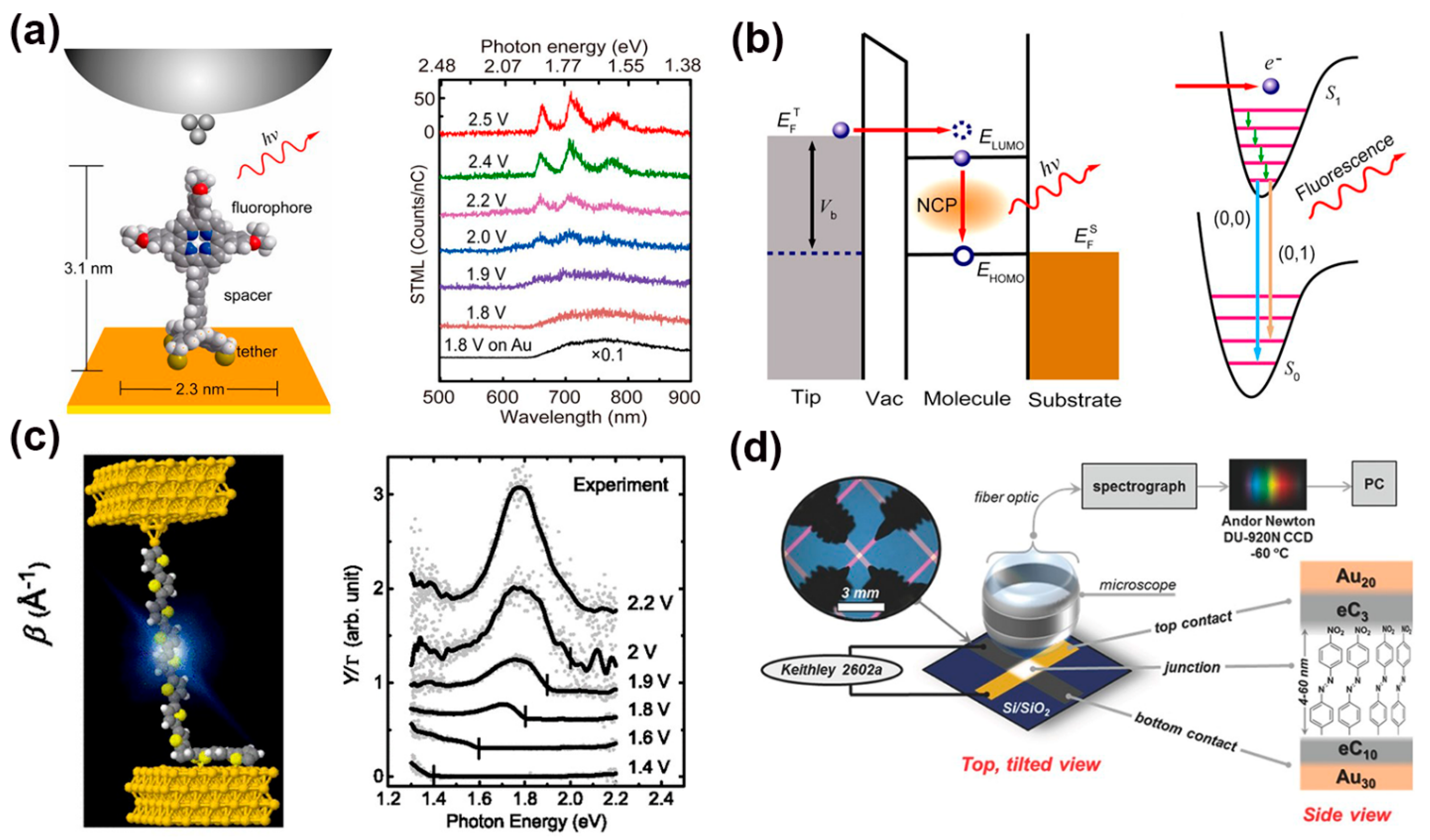 Nanomaterials 12 00698 g007 550