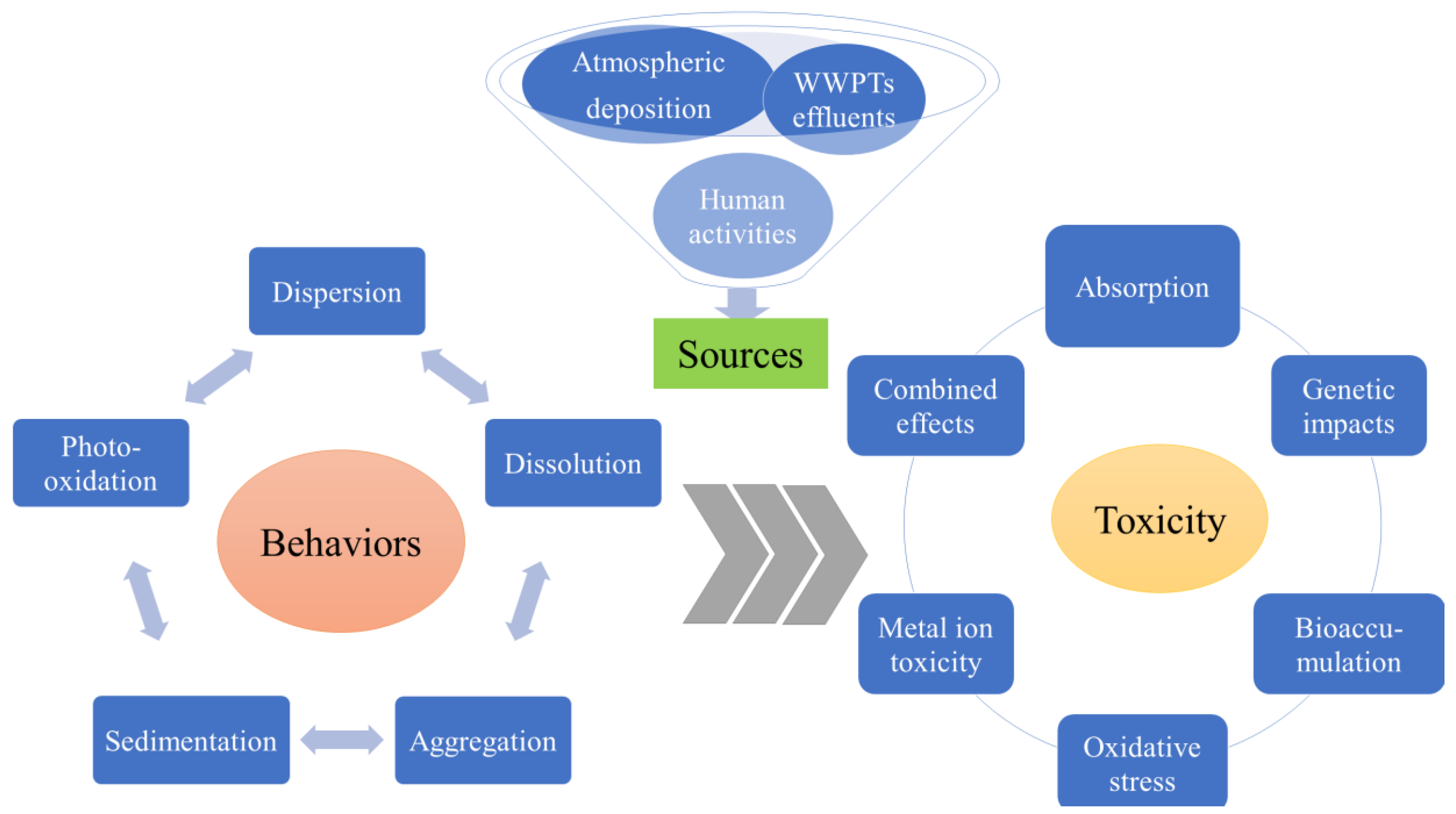 Nanomaterials 12 00699 g001