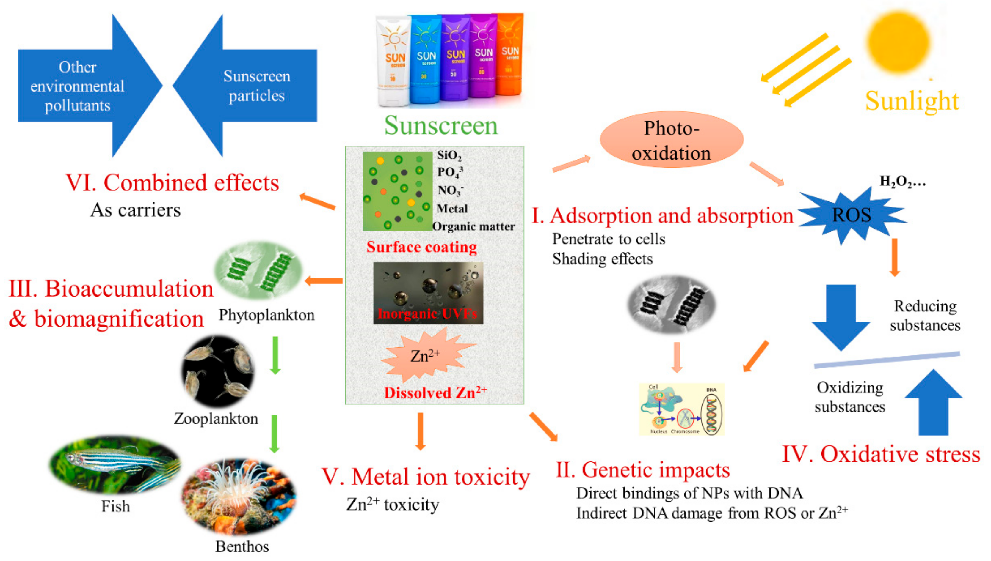 Nanomaterials 12 00699 g002