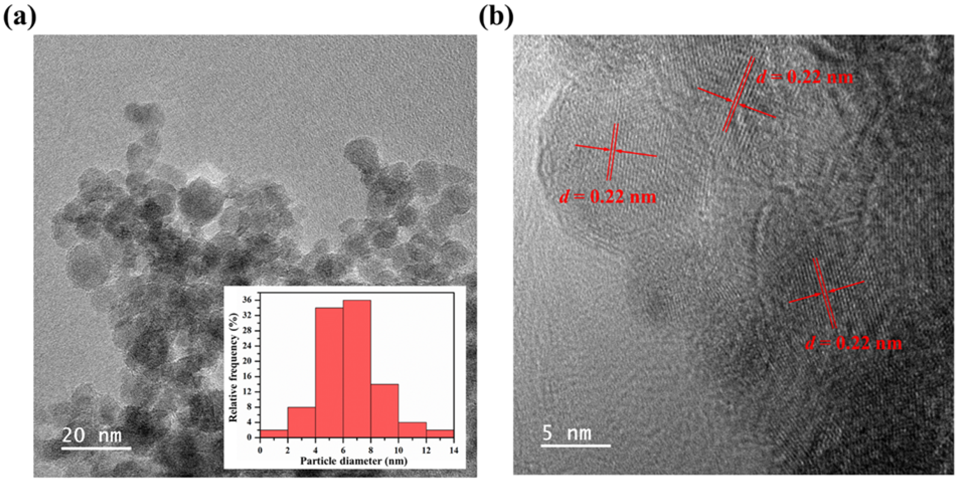 Nanomaterials 12 00702 g002