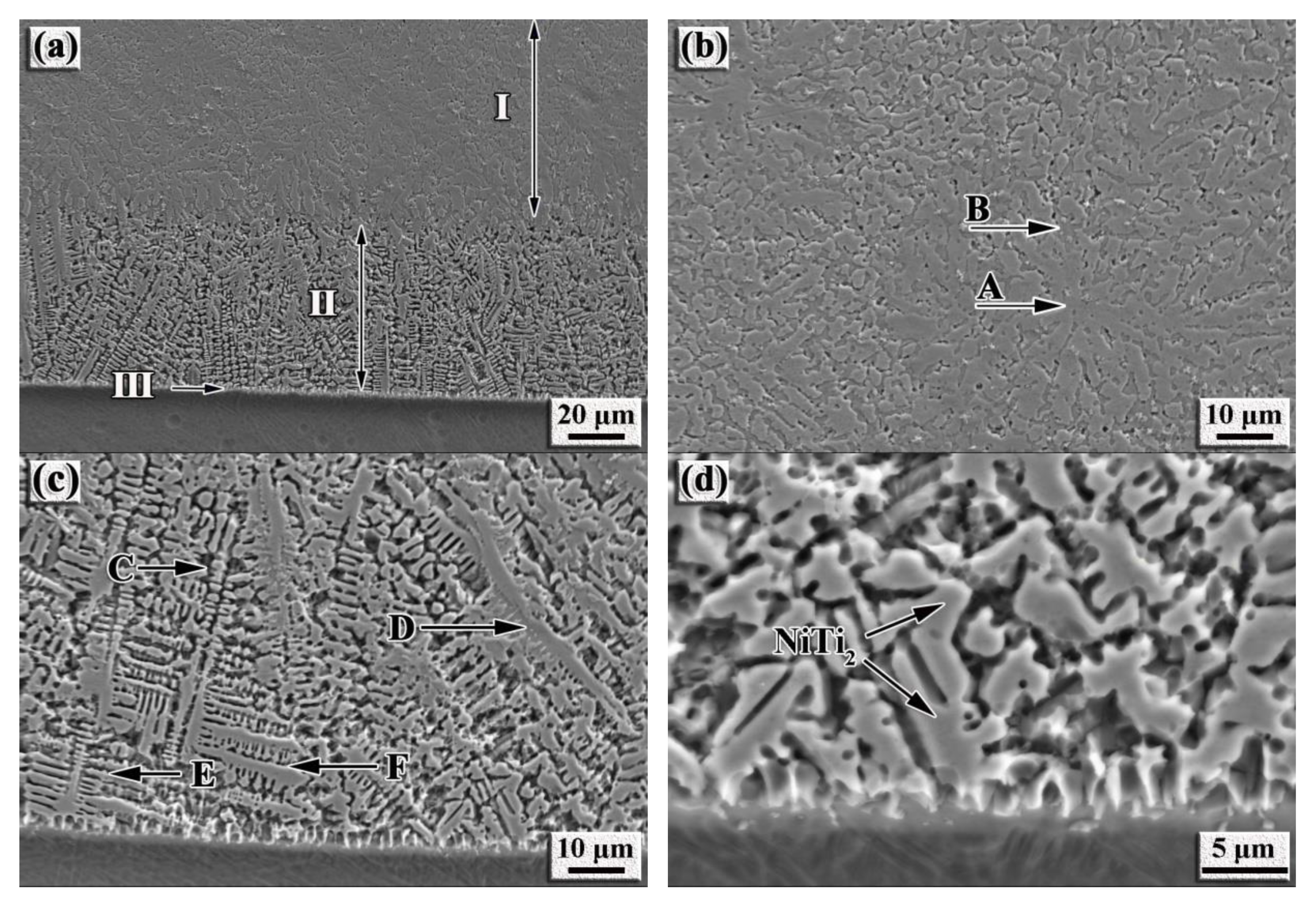 Nanomaterials 12 00705 g003 550