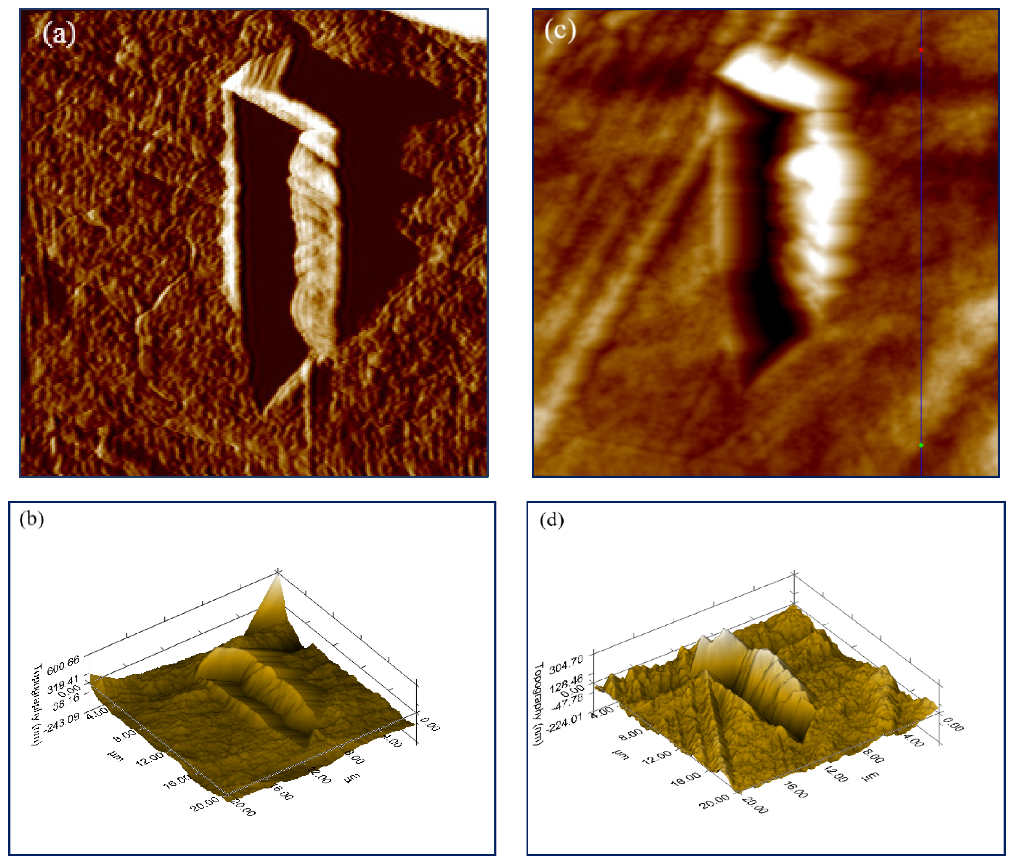 Nanomaterials 12 00709 g007
