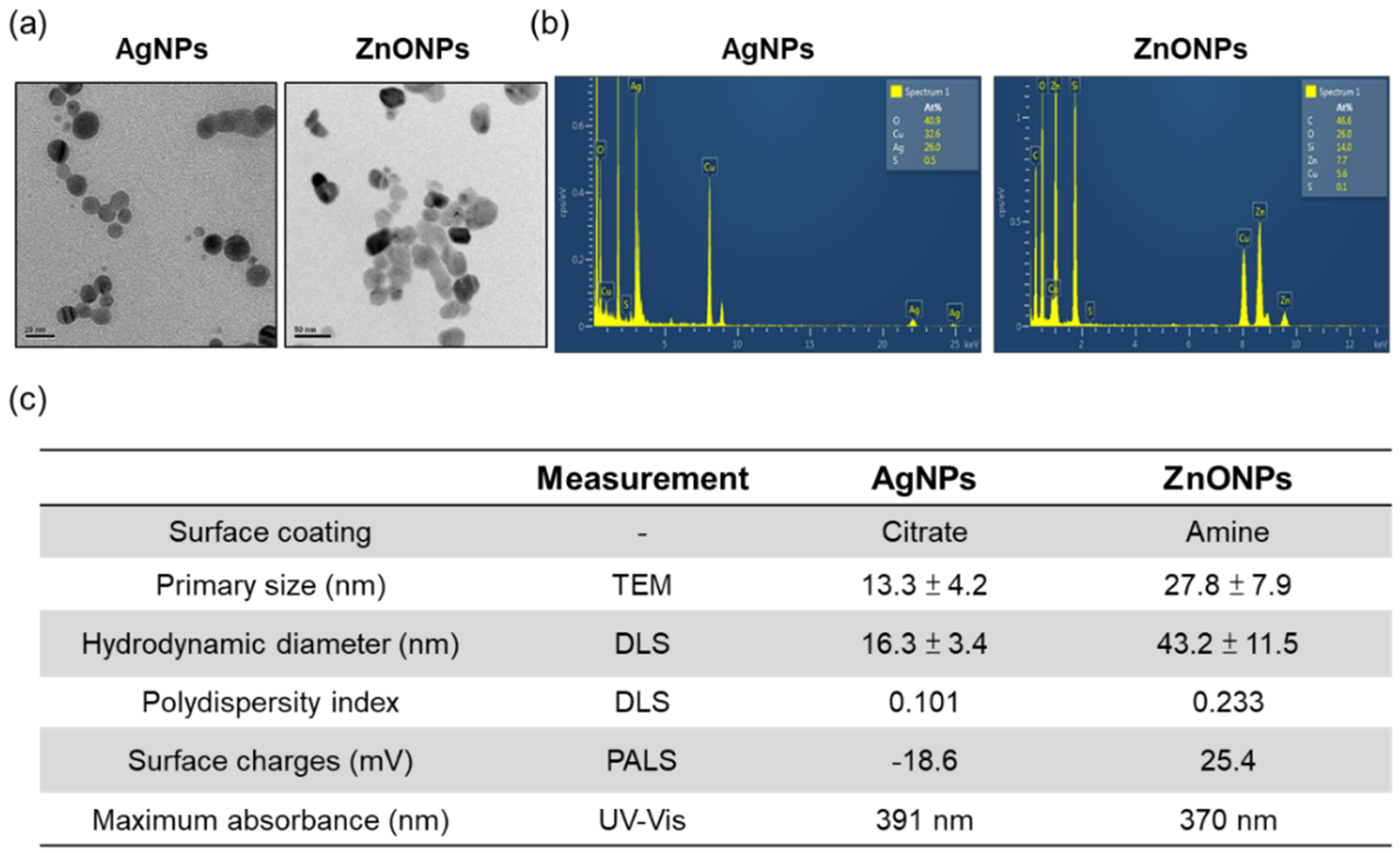 Nanomaterials 12 00717 g001