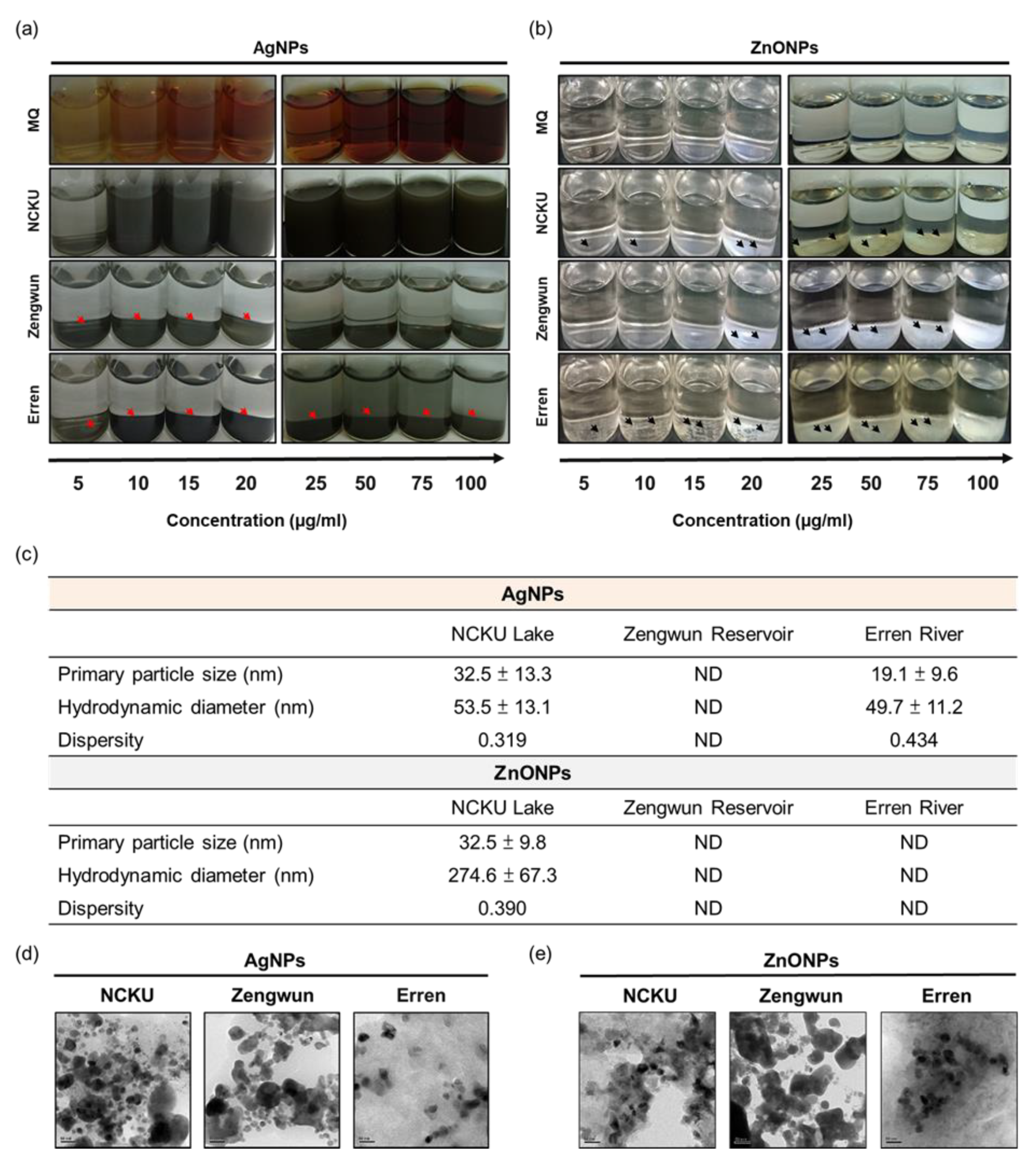 Nanomaterials 12 00717 g002