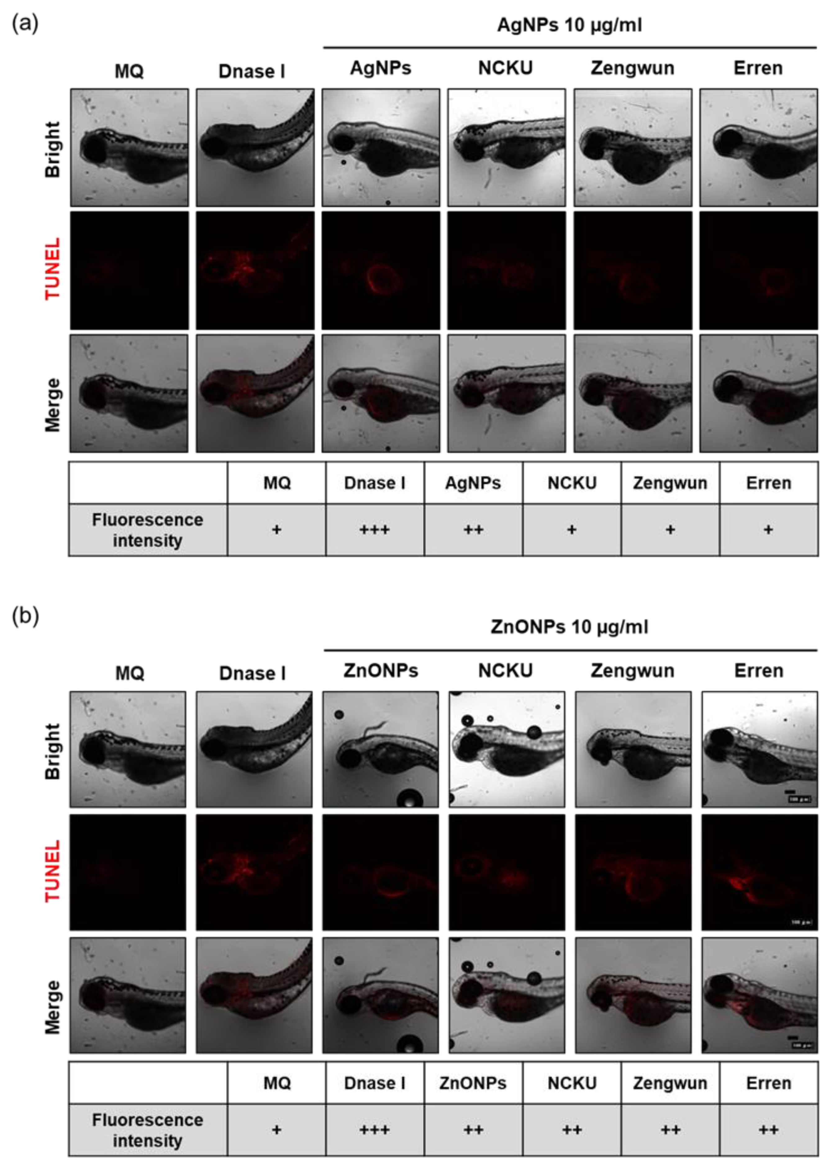 Nanomaterials 12 00717 g006
