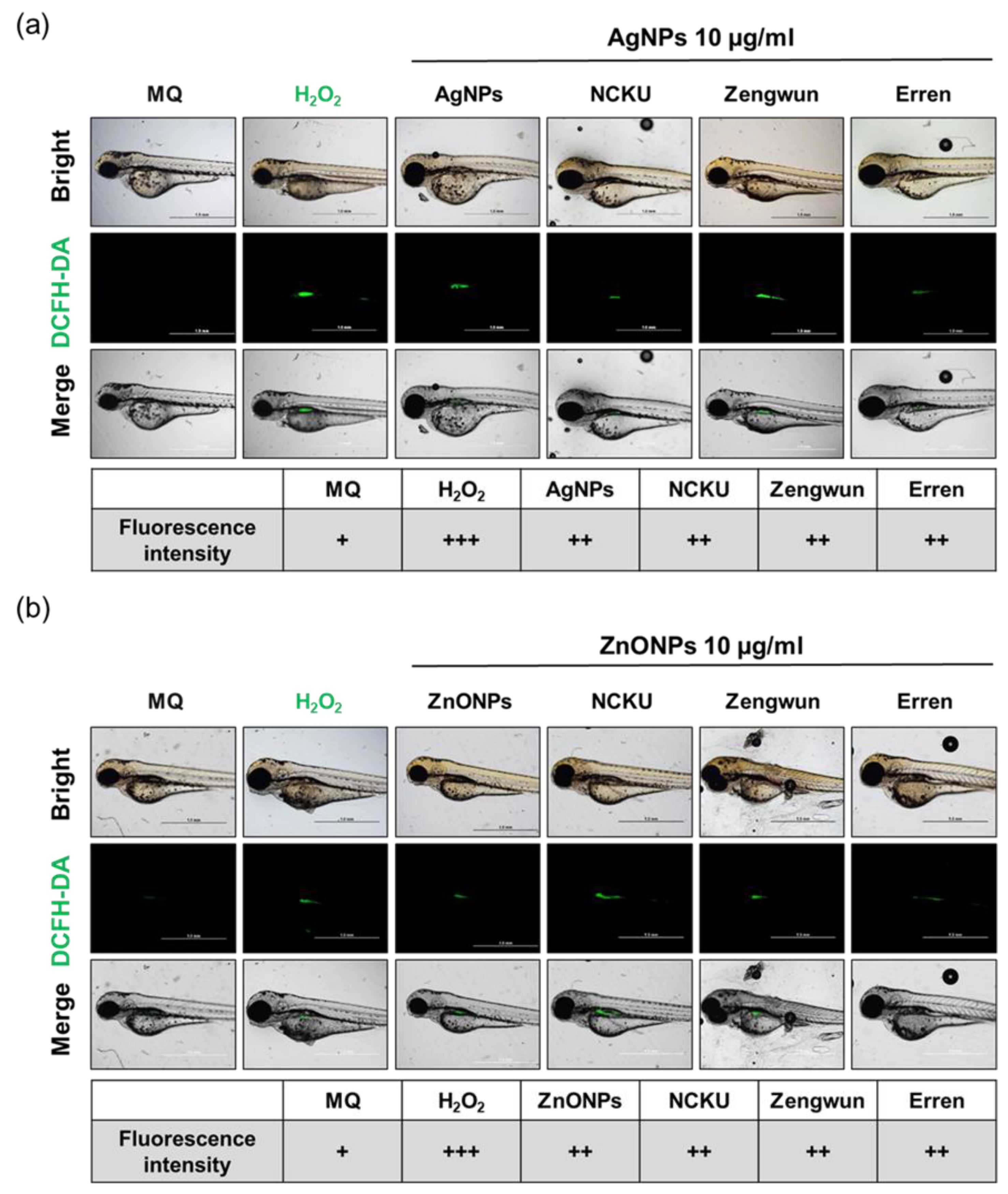 Nanomaterials 12 00717 g007