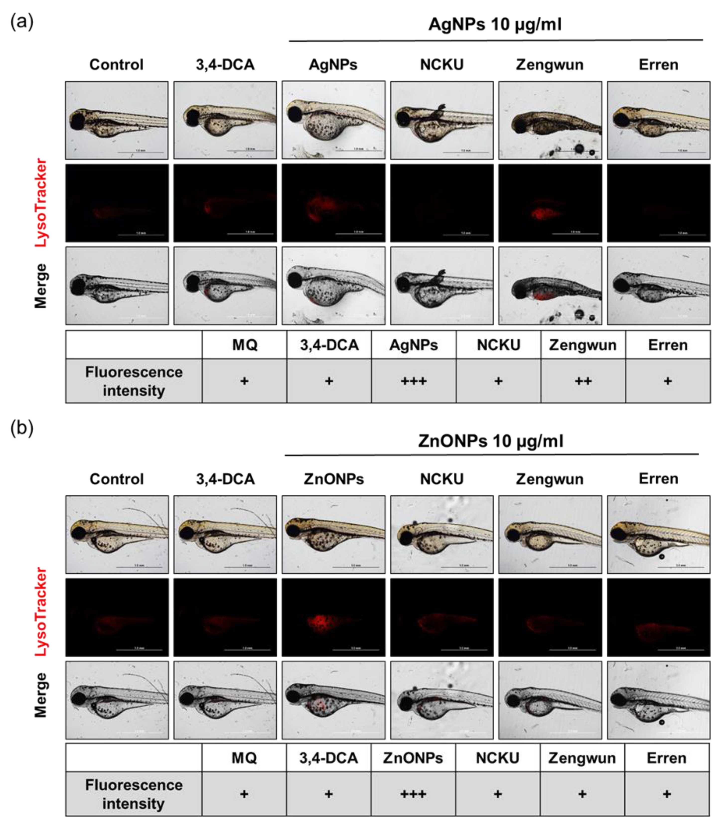 Nanomaterials 12 00717 g008
