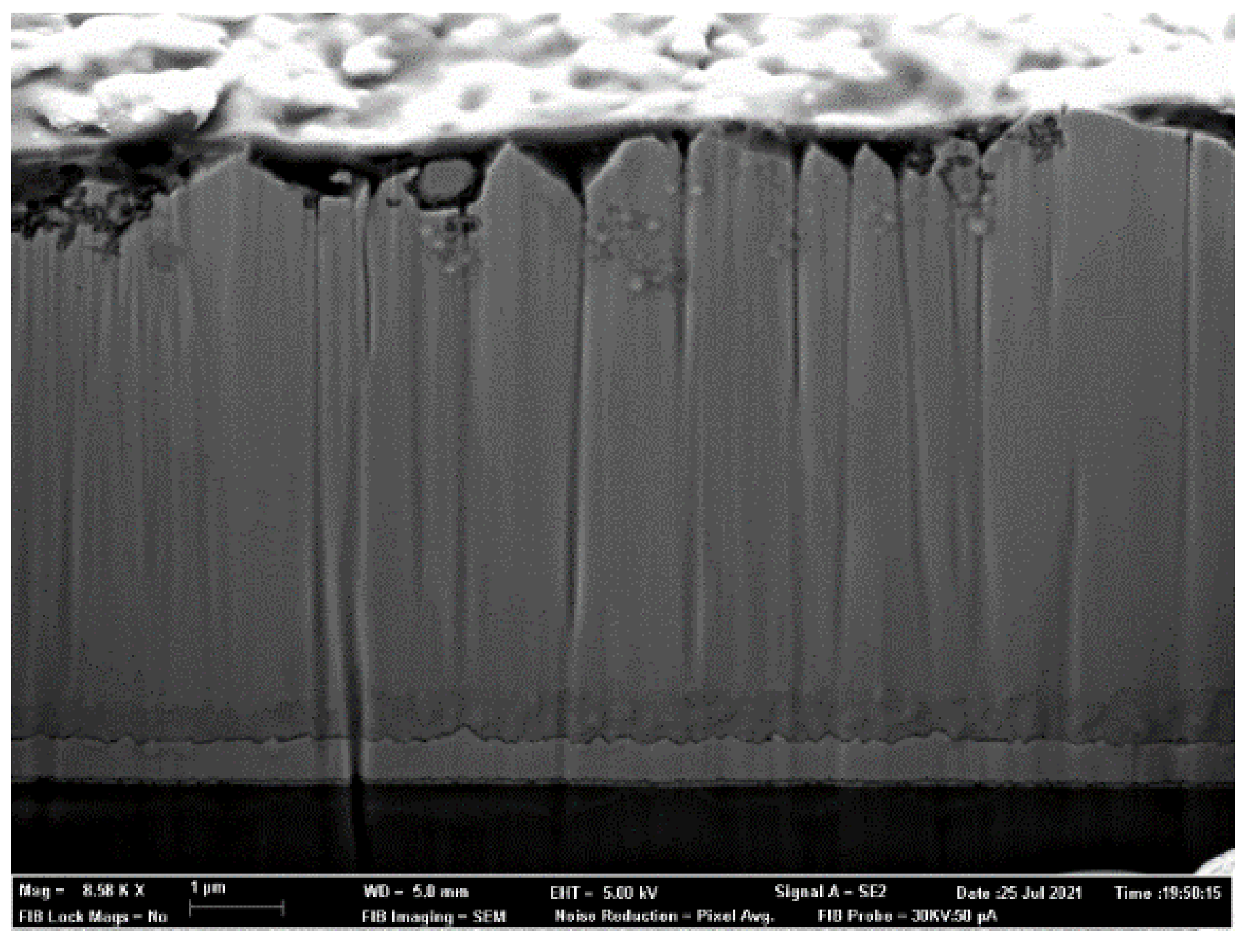 Nanomaterials 12 00720 g004 550