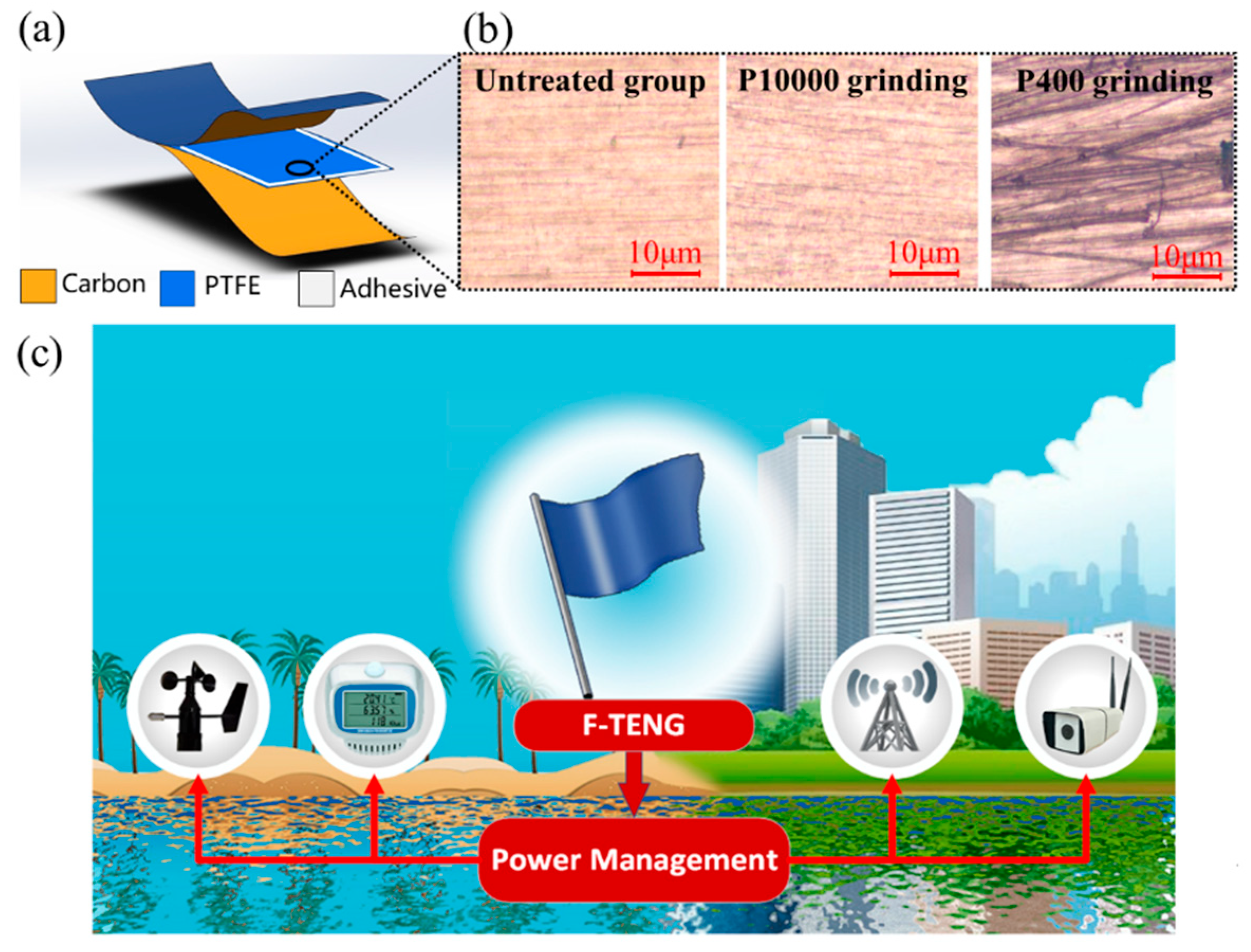 Nanomaterials 12 00721 g002