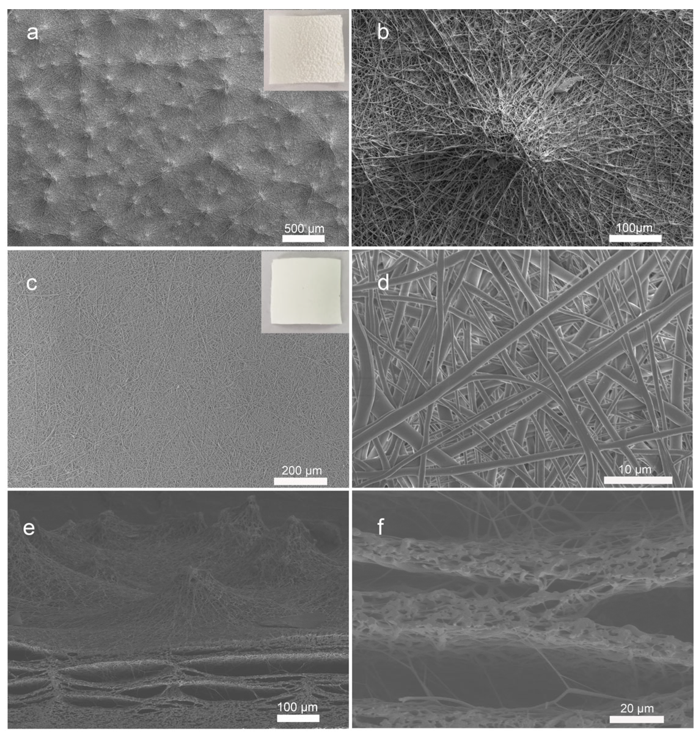 Nanomaterials 12 00723 g002