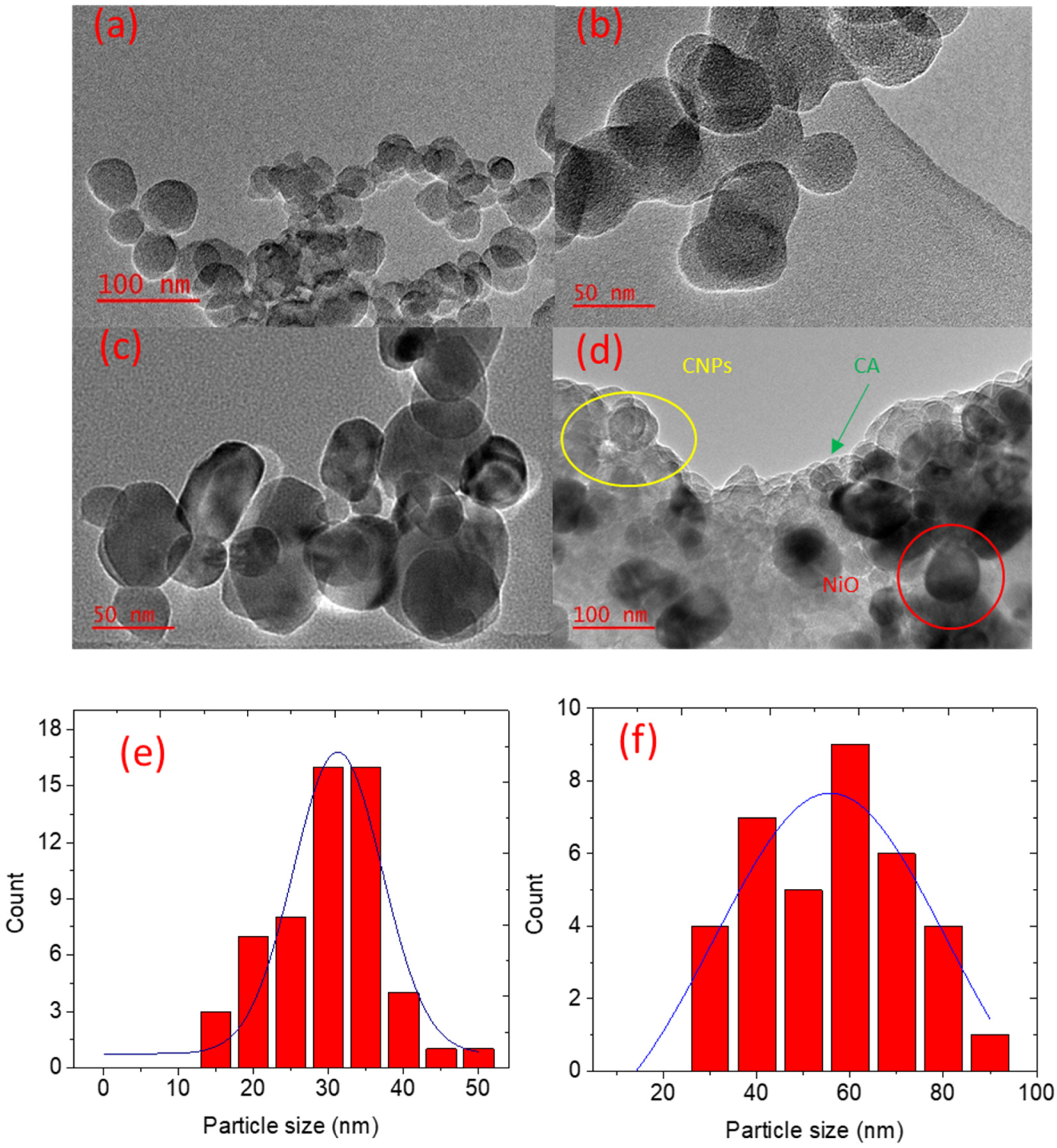 Nanomaterials 12 00727 g004 550