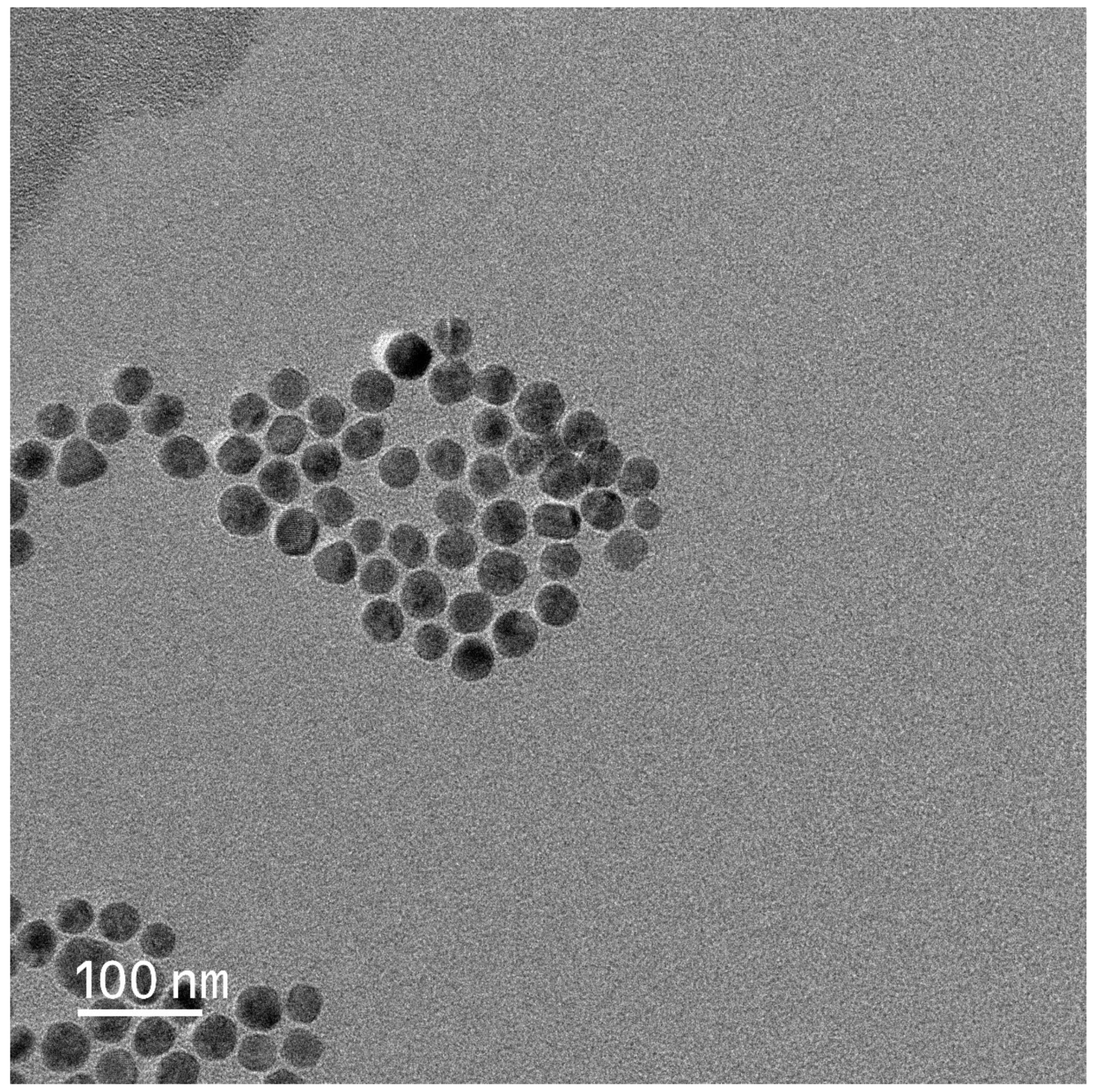 Nanomaterials 12 00728 g001 550