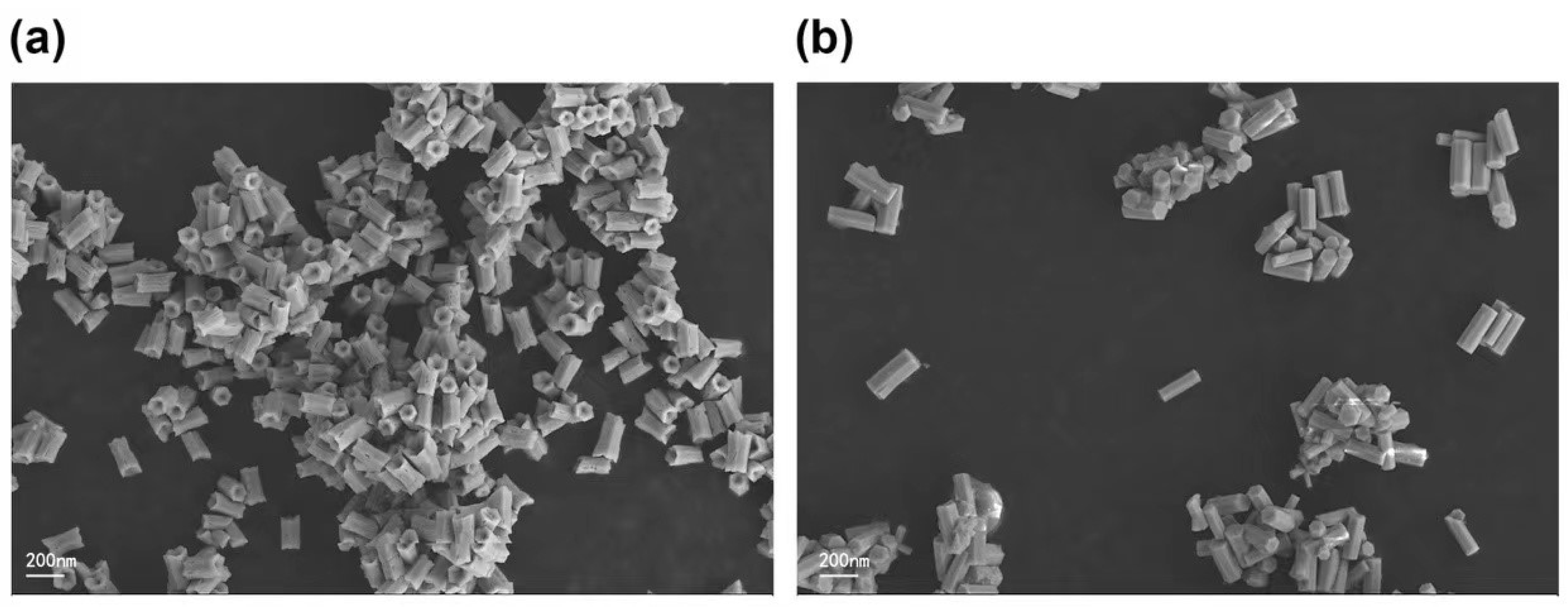 Nanomaterials 12 00728 g003 550