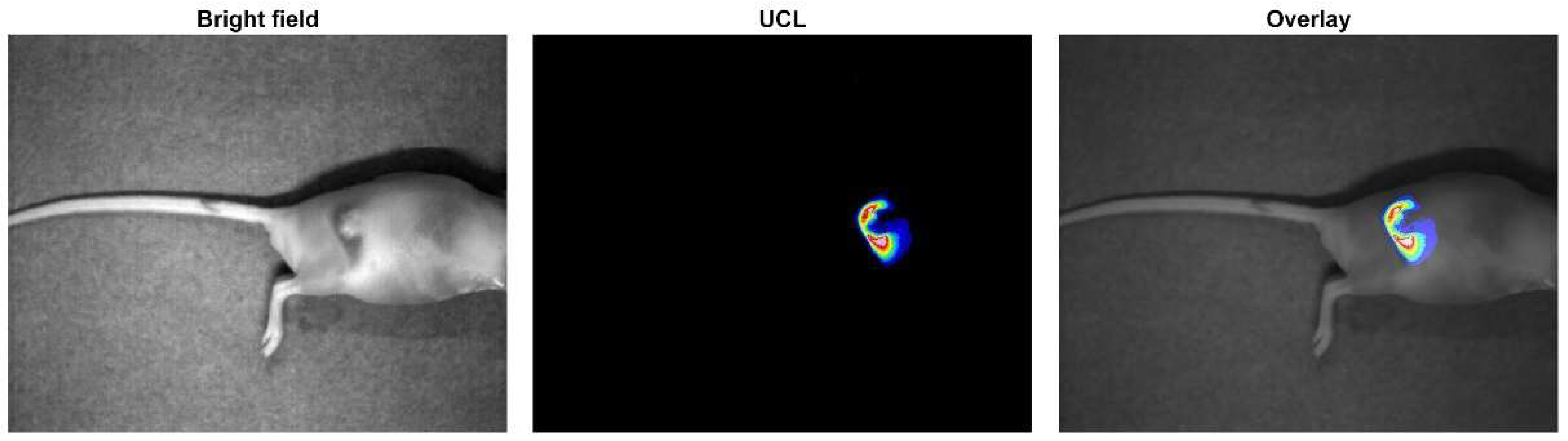 Nanomaterials 12 00728 g011 550
