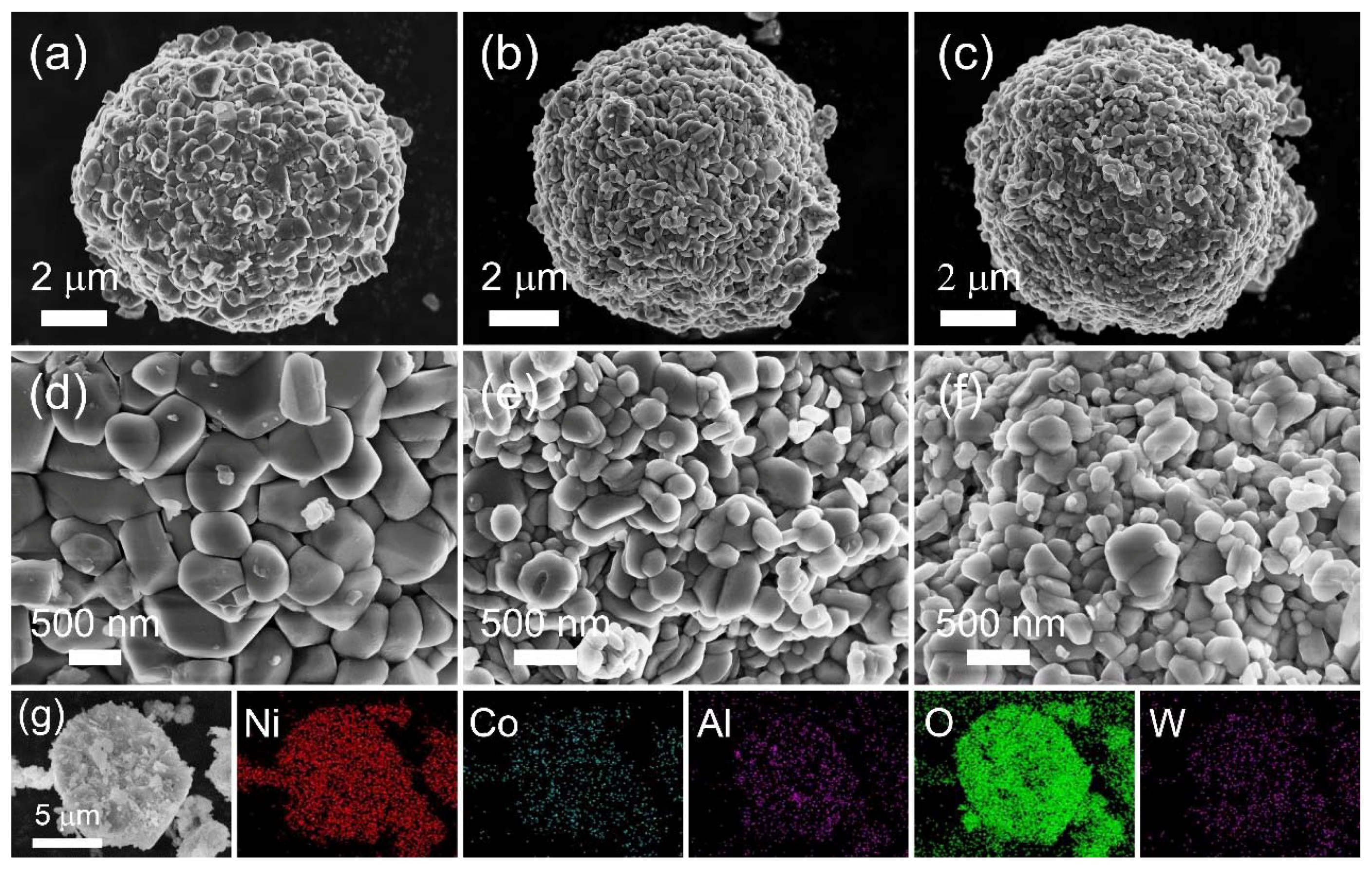 Nanomaterials 12 00729 g002 550