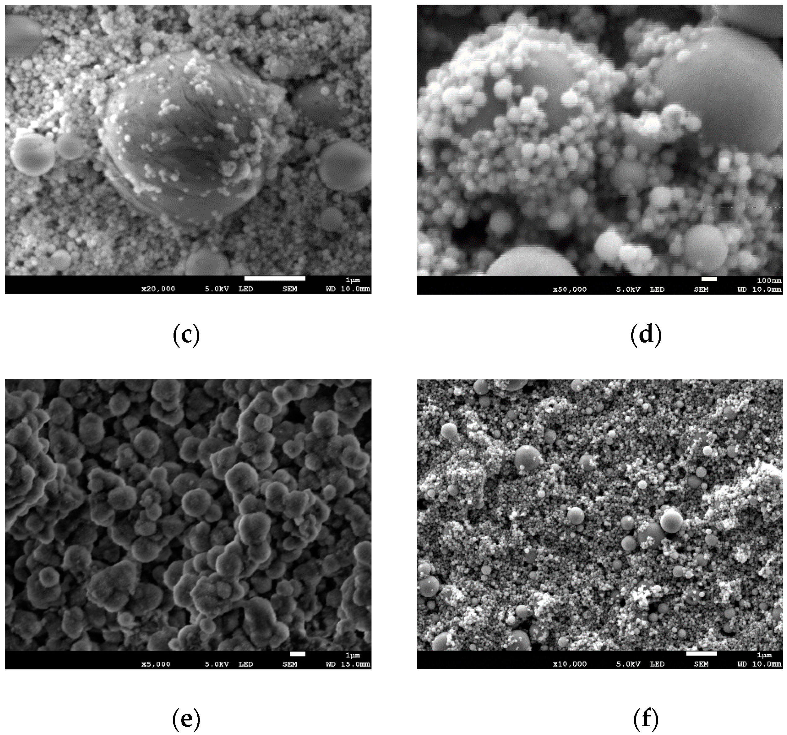 Nanomaterials 12 00732 g004b Nanomaterials 12 00732 g004b