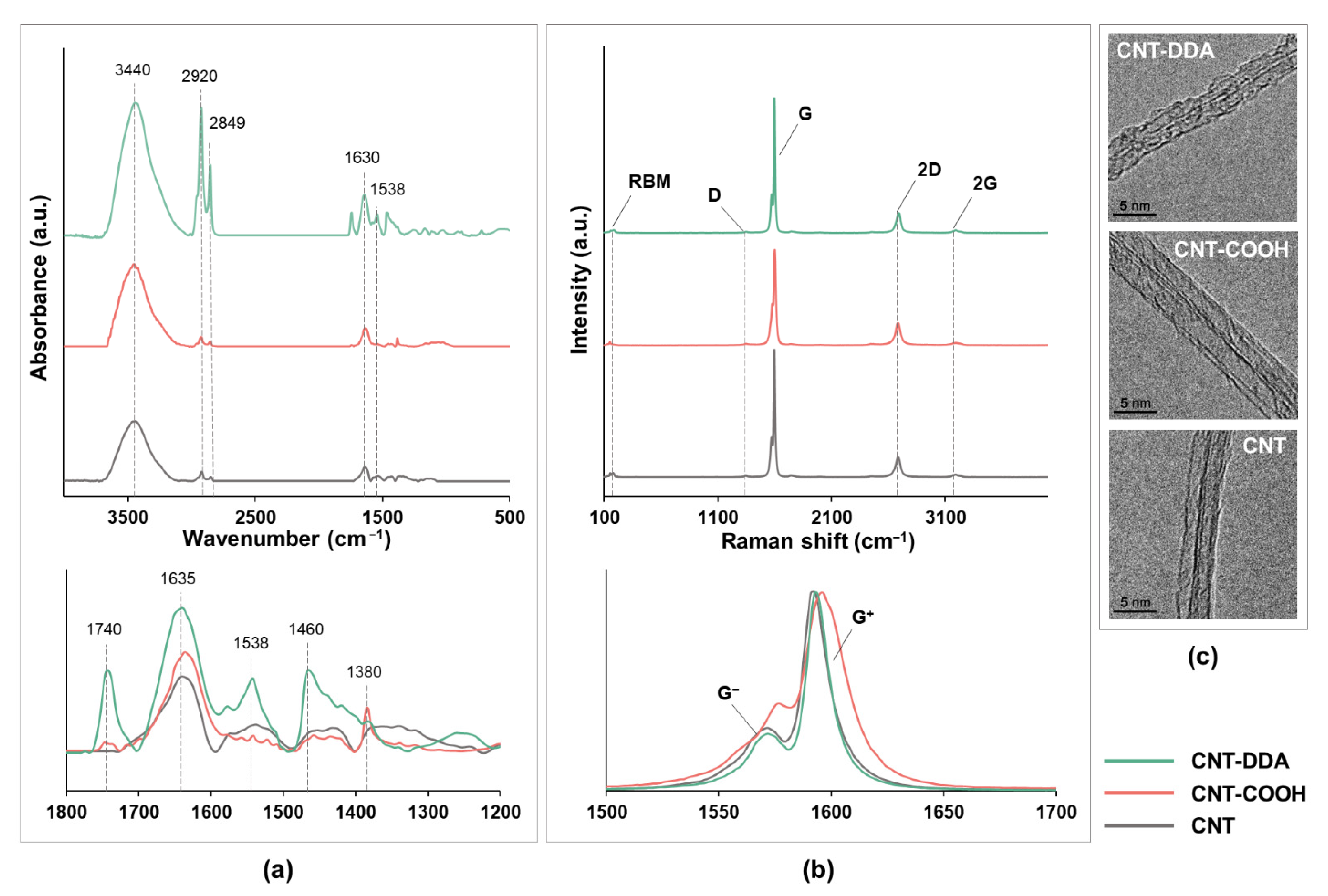 Nanomaterials 12 00733 g001