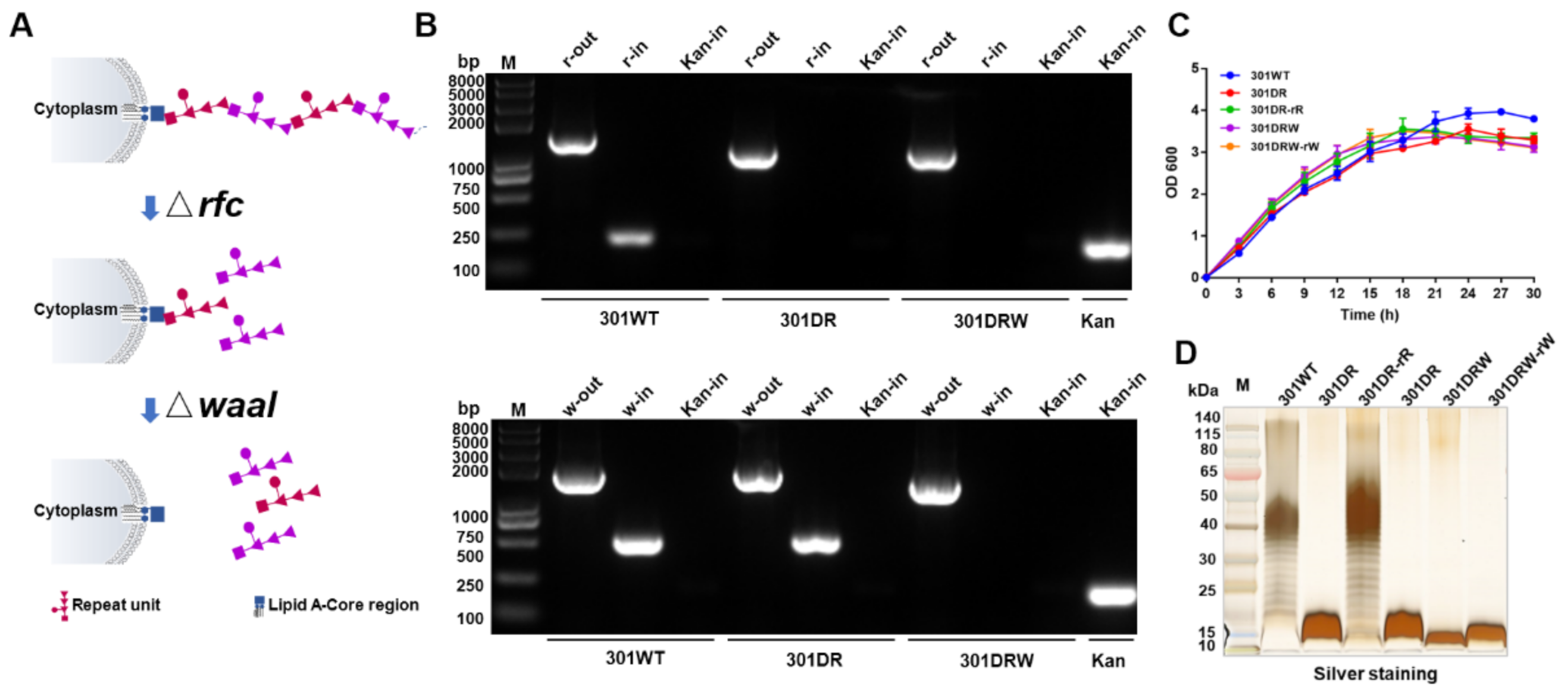 Nanomaterials 12 00734 g001