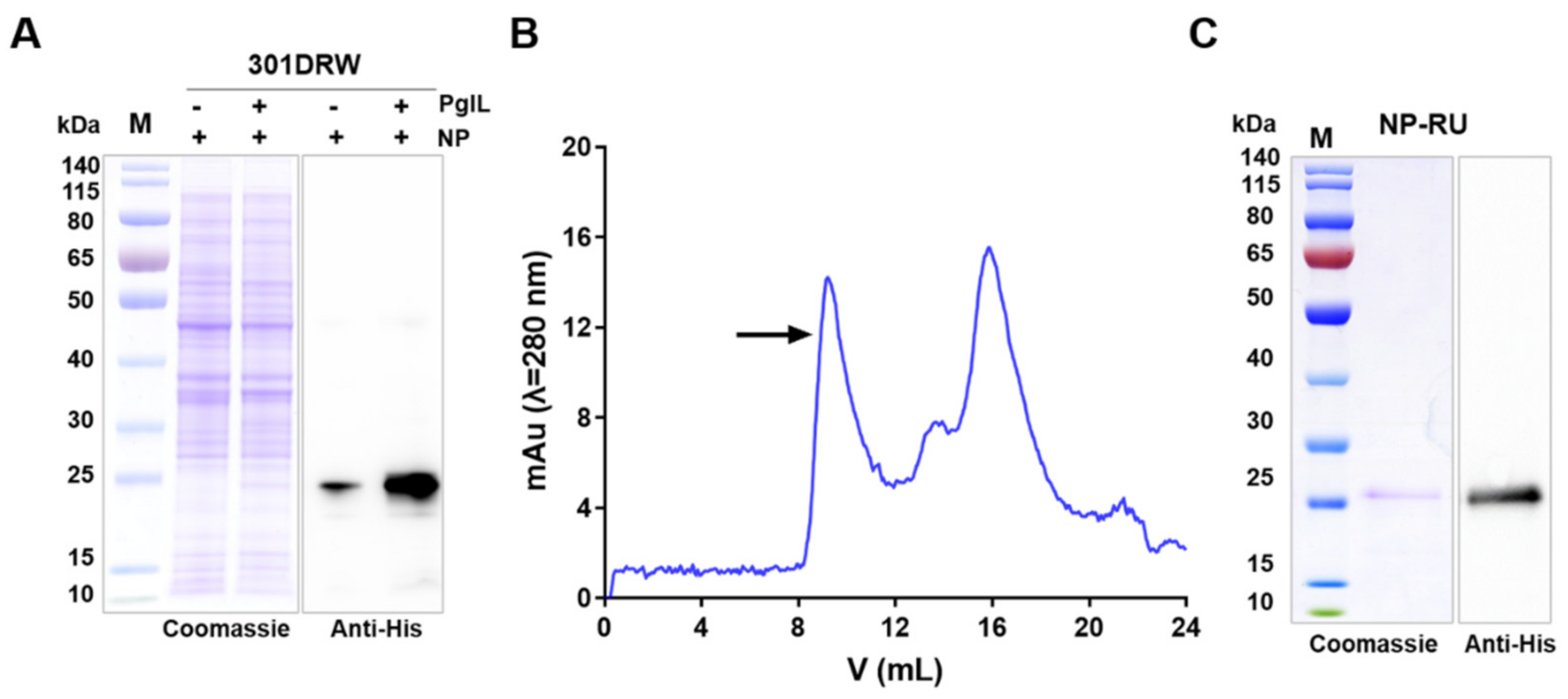 Nanomaterials 12 00734 g002