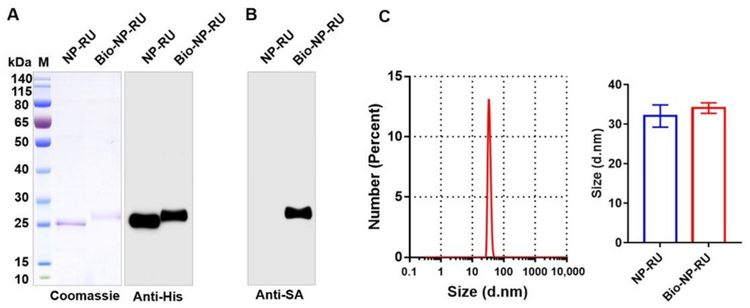 Nanomaterials 12 00734 g005