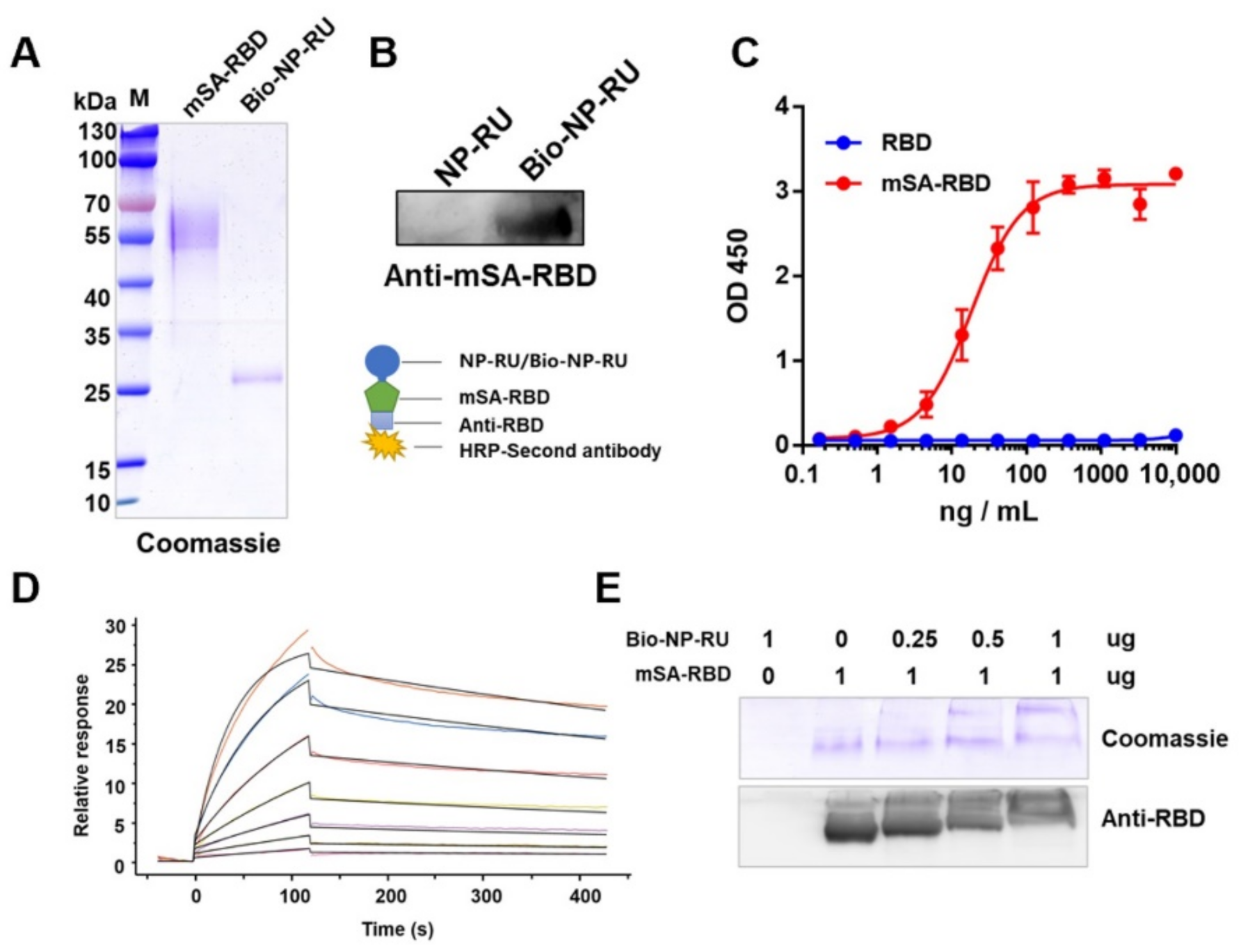 Nanomaterials 12 00734 g006