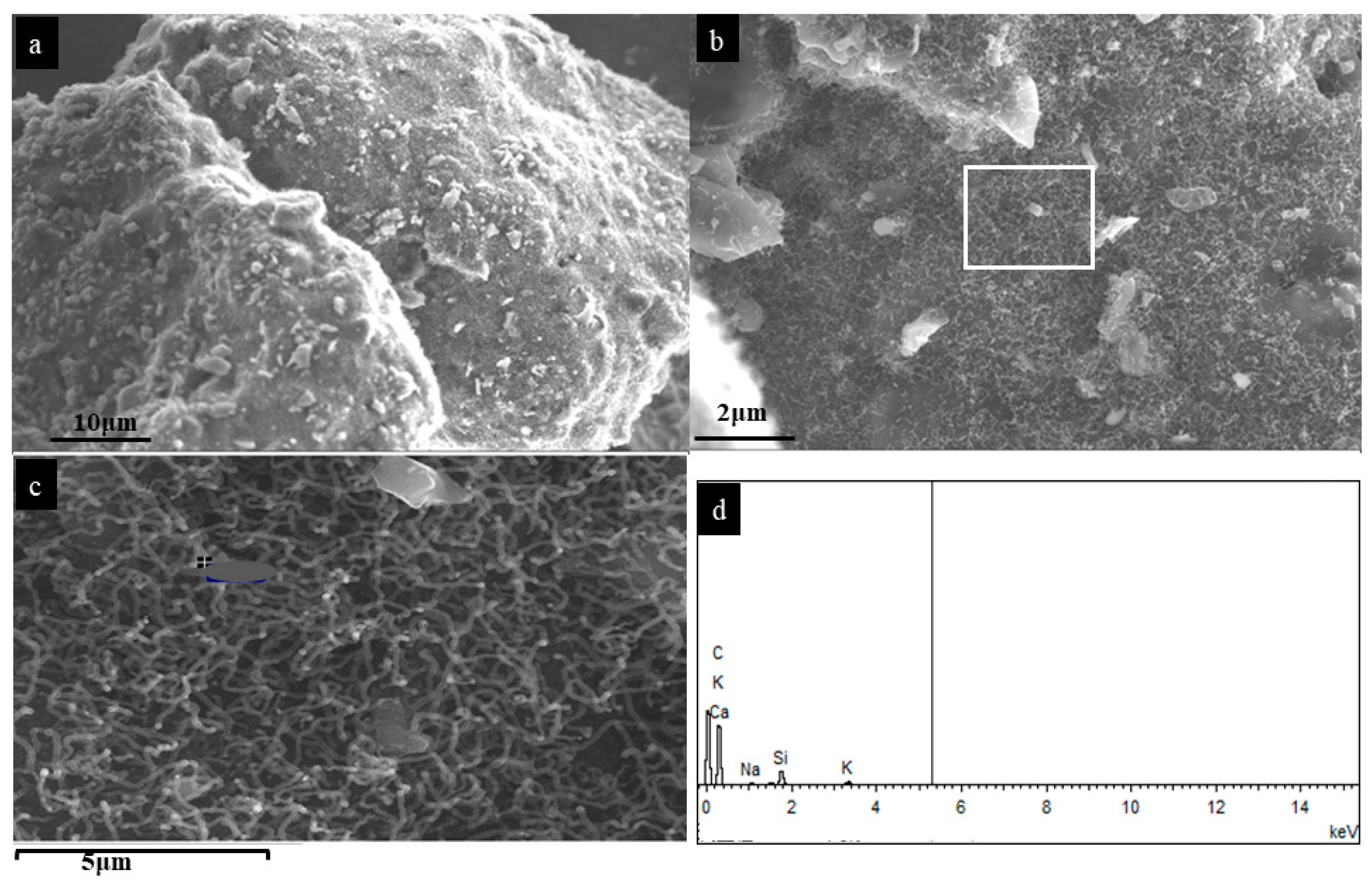 Nanomaterials 12 00737 g001 Nanomaterials 12 00737 g001