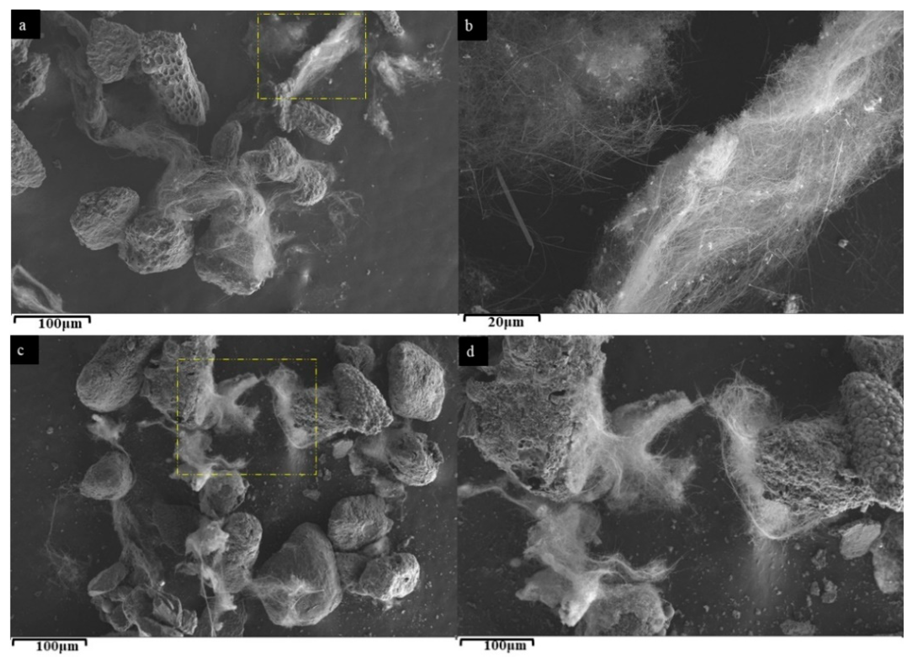 Nanomaterials 12 00737 g003 Nanomaterials 12 00737 g003