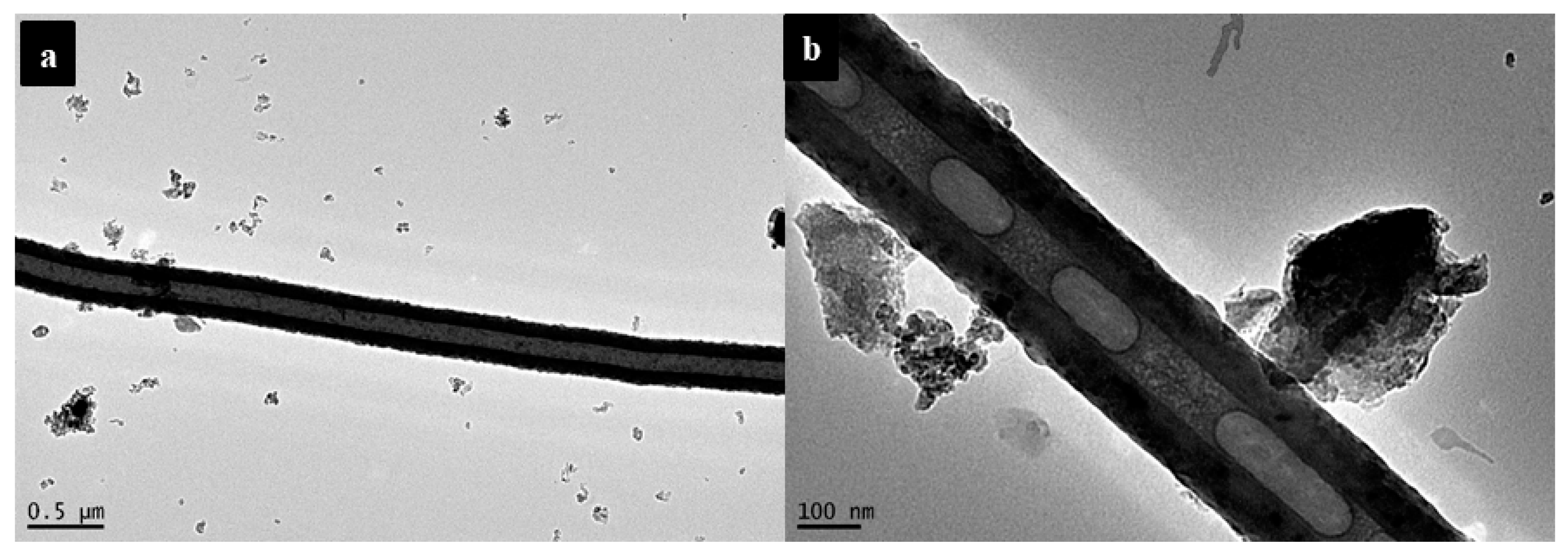 Nanomaterials 12 00737 g005 Nanomaterials 12 00737 g005