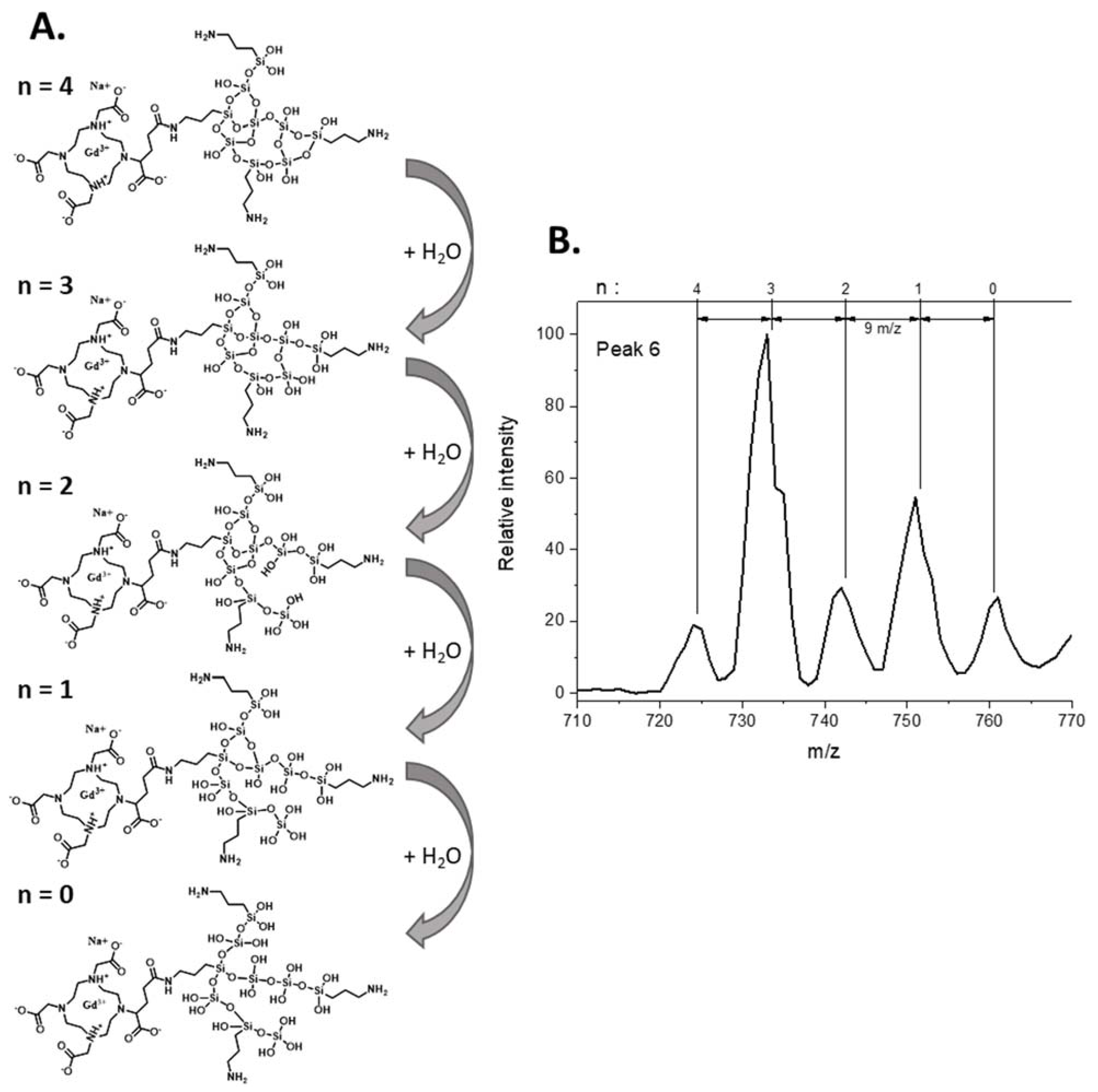 Nanomaterials 12 00738 g005
