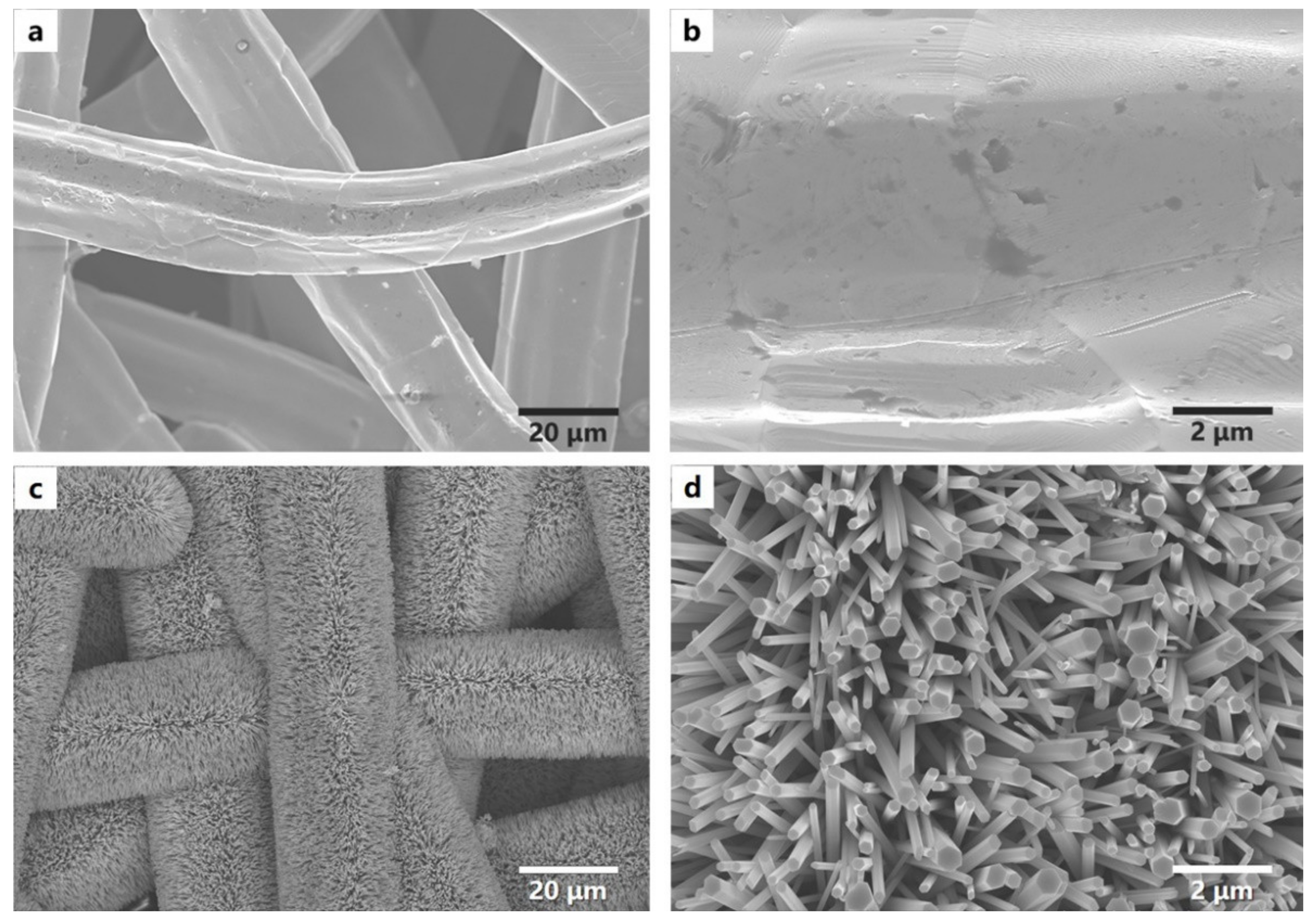 Nanomaterials 12 00740 g003